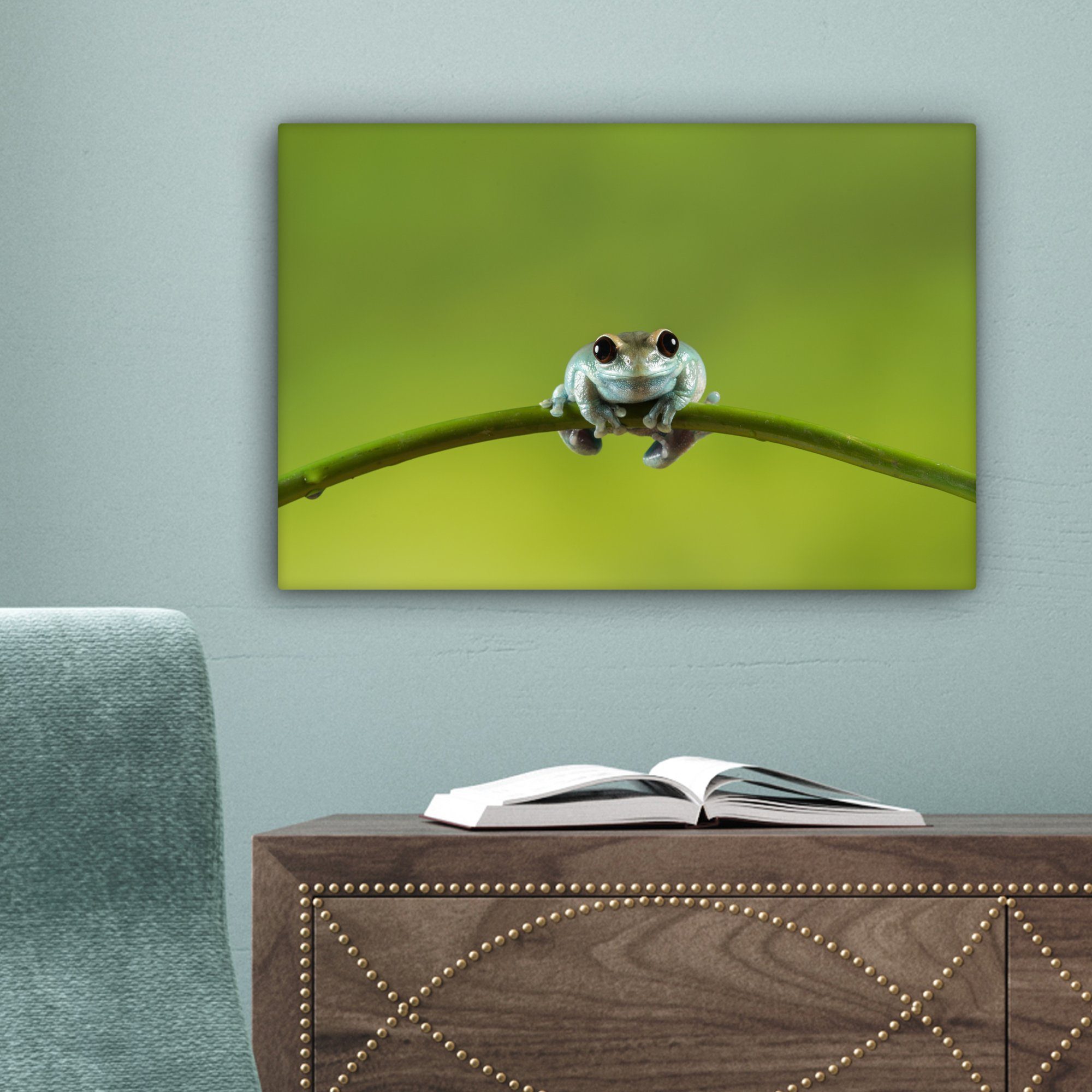 (1 Wanddeko, 30x20 Wandbild St), Leinwandbild Frosch Aufhängefertig, cm Zweig Grün, Leinwandbilder, - OneMillionCanvasses® -