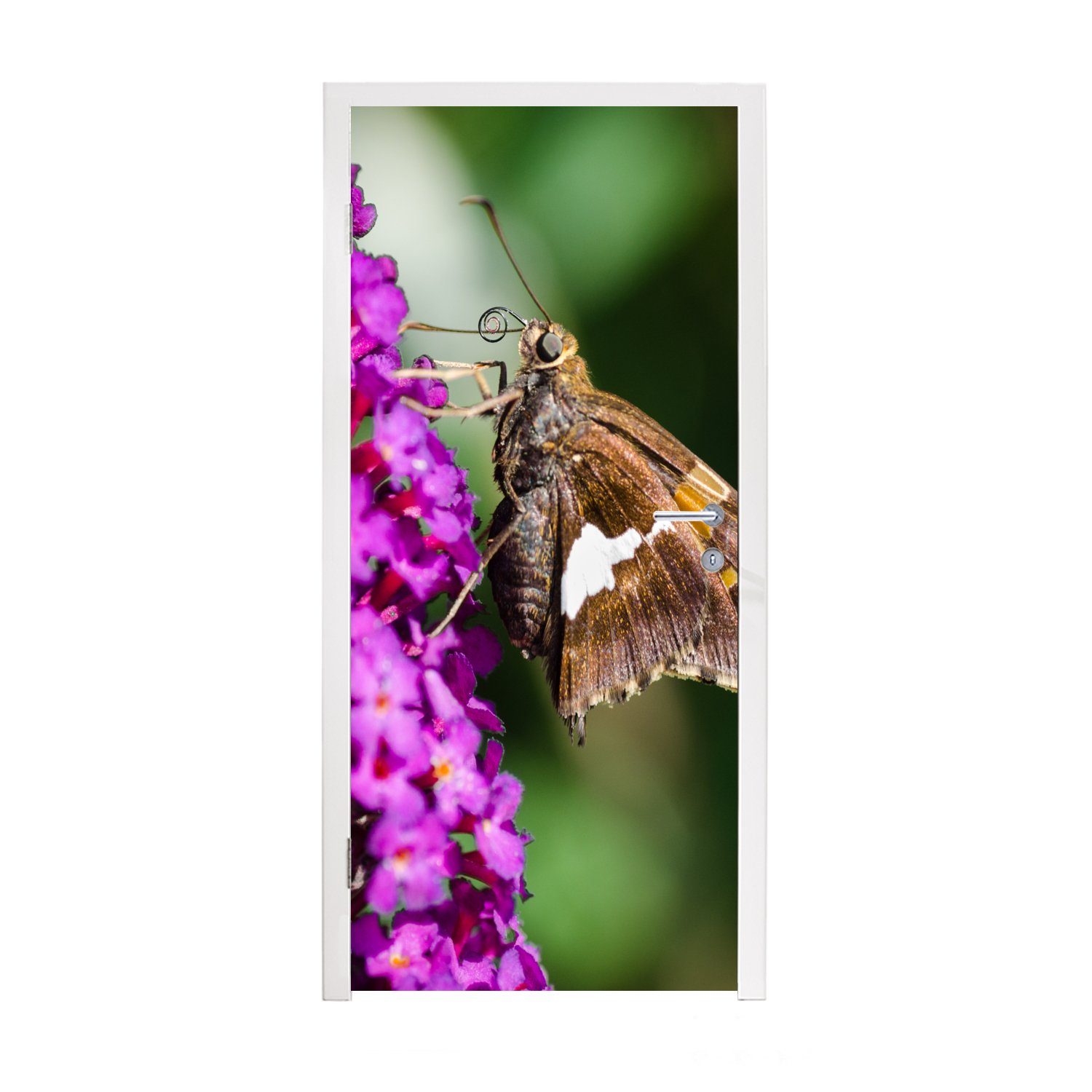 MuchoWow Türtapete Schmetterling auf dem Schmetterlingsstrauch, Matt, bedruckt, (1 St), Fototapete für Tür, Türaufkleber, 75x205 cm