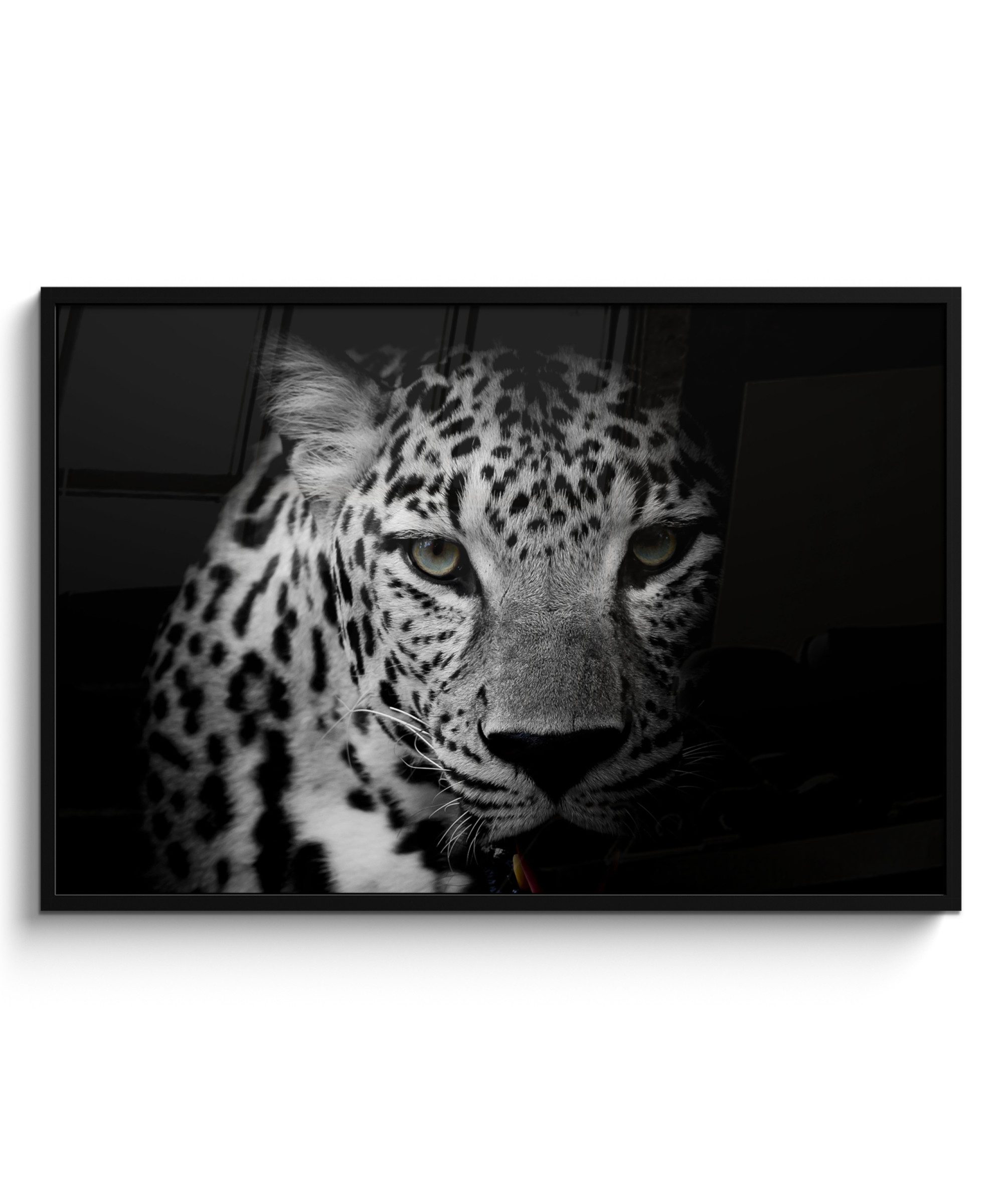 MuchoWow Poster Tiere - Schwarz - Weiß - Panther - Porträt, (1 St), Bilderrahmen, Dekoration für die Wand Wohnzimmer, 120x80 cm