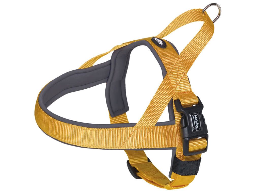 Nobby Hunde-Geschirr Norwegergeschirr "Classic Preno", orange/grau, S-M, Nylon-Neopren, Bauchriemen stufenlos verstellbar von Nobby