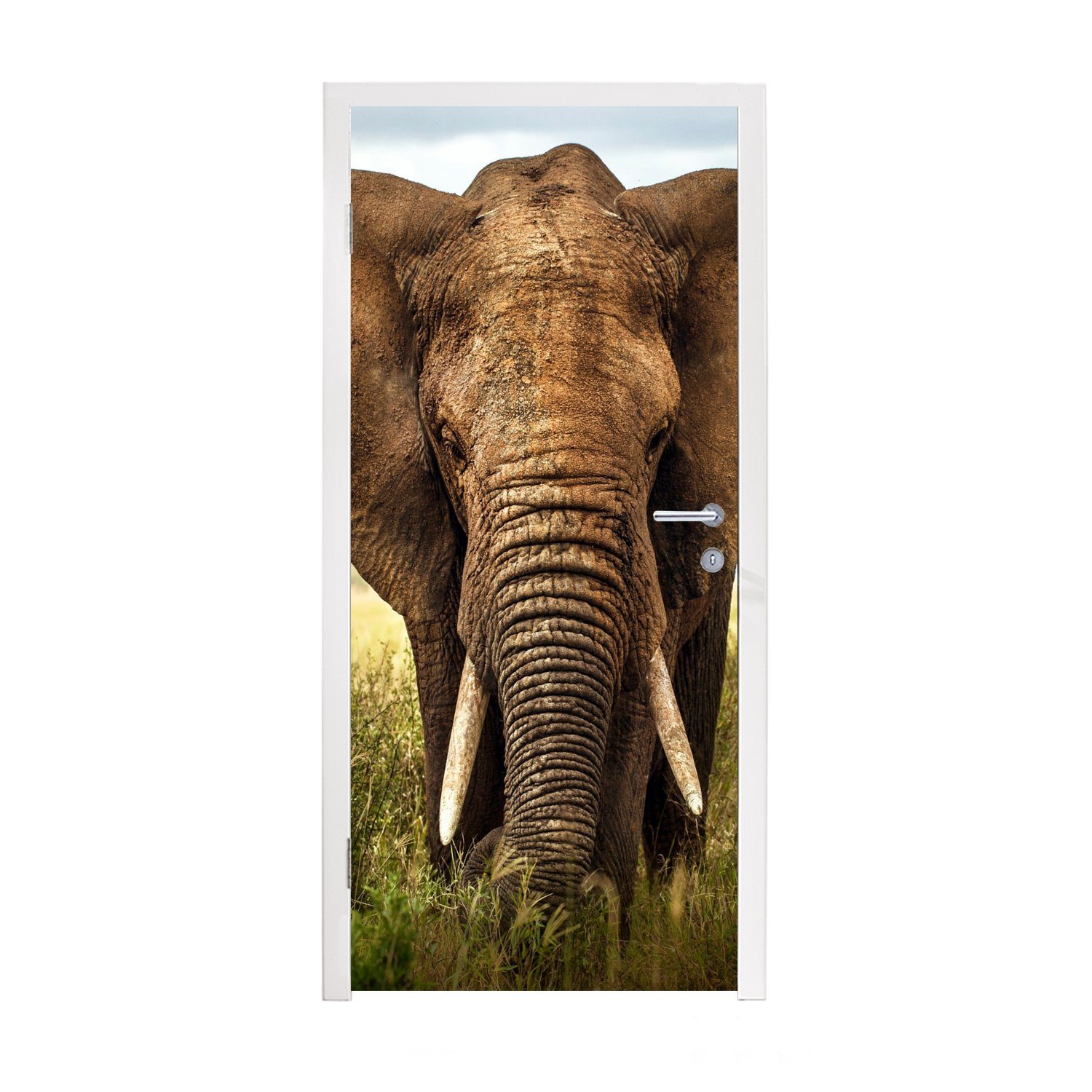 MuchoWow Türtapete Afrikanischer Elefant Vorderansicht, Matt, bedruckt, (1 St), Fototapete für Tür, Türaufkleber, 75x205 cm