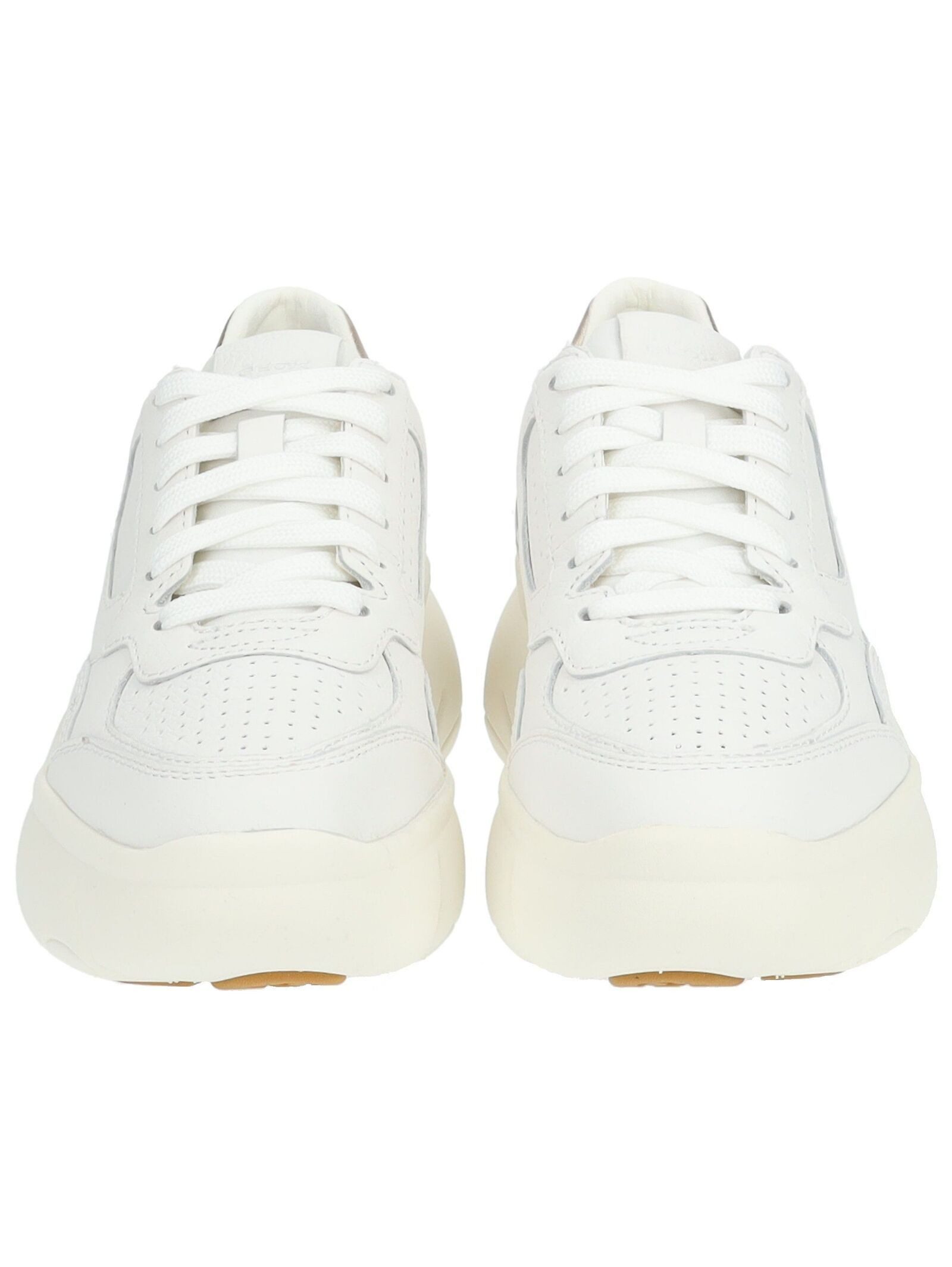 Geox Sneaker Leder/Mesh . Sneaker (1-tlg)