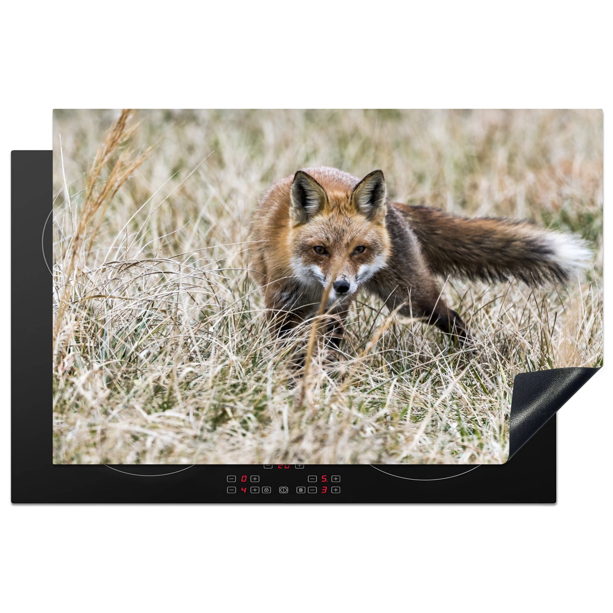 MuchoWow Herdblende-/Abdeckplatte Fuchs im Gras, Vinyl, (1 tlg), 81x52 cm, Induktionskochfeld Schutz für die küche, Ceranfeldabdeckung