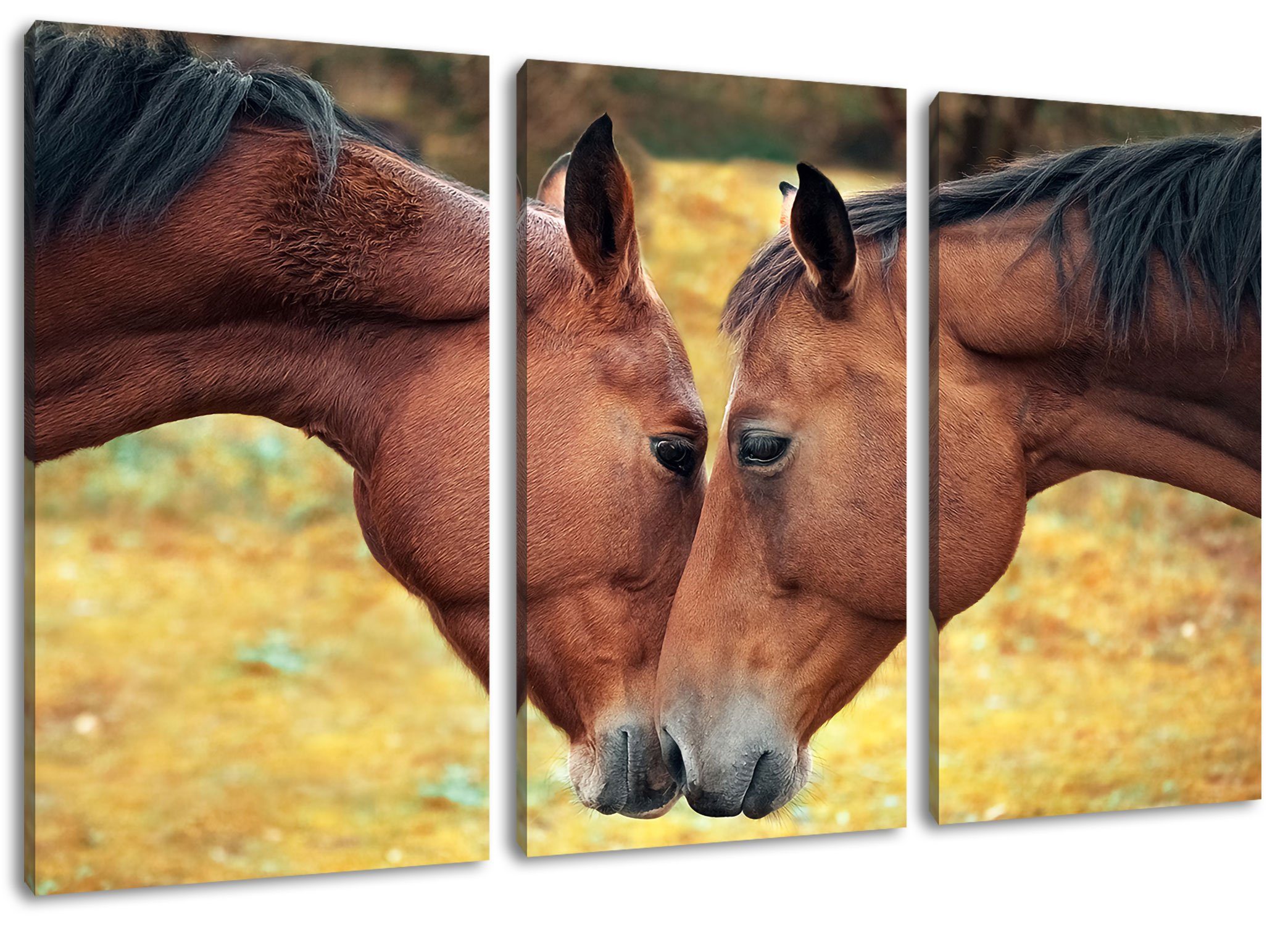 Pixxprint Leinwandbild zwei schmusende Pferde, zwei schmusende Pferde 3Teiler (120x80cm) (1 St), Leinwandbild fertig bespannt, inkl. Zackenaufhänger