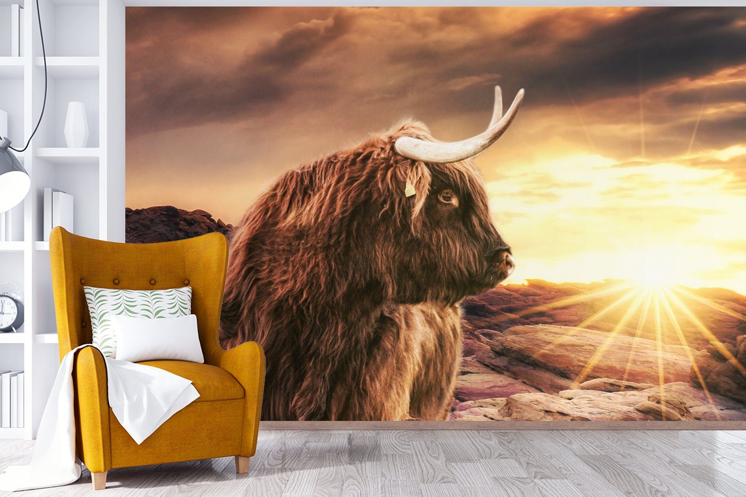 Tiere, Matt, (6 Horizont Sonne Vinyl für MuchoWow St), Tapete - - Schottischer Schlafzimmer, Wohnzimmer, bedruckt, Wallpaper Kinderzimmer, Hochländer - - Kuh Fototapete