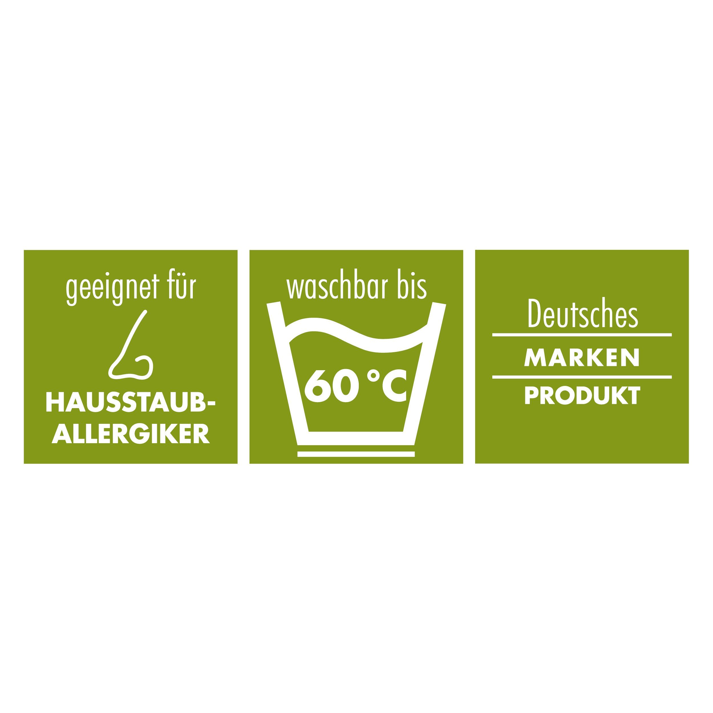 irisette GREENLINE Gänsefederkopfkissen / Gänsedaunenkopfkissen - günstig online kaufen