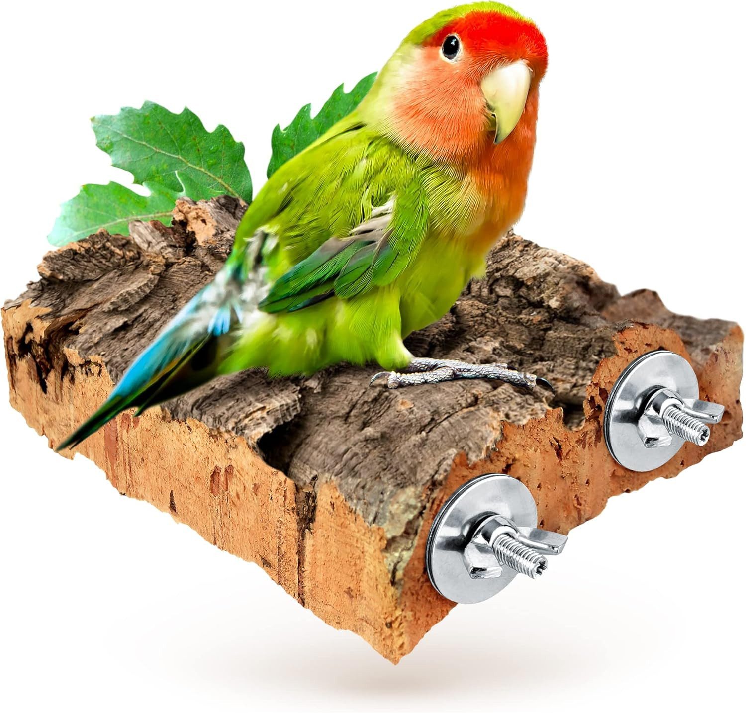 Kork-Deko.de Vogelspielplatz Vogel Sitzbrett Korkrinde 15×15 cm – großes Kork Sitzbrett für Vögel von Kork-Deko.de