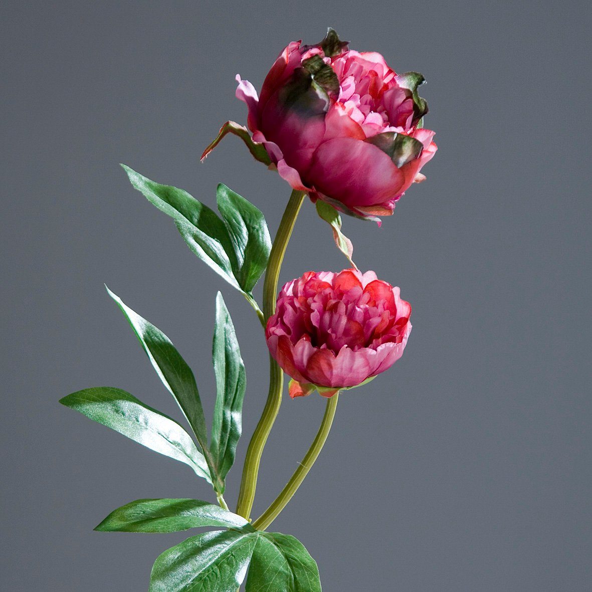 Kunstblume Wunderschöne L60 mit Annimuck beere pink Kunstblume Blüten 2 Pfingstrose cm,