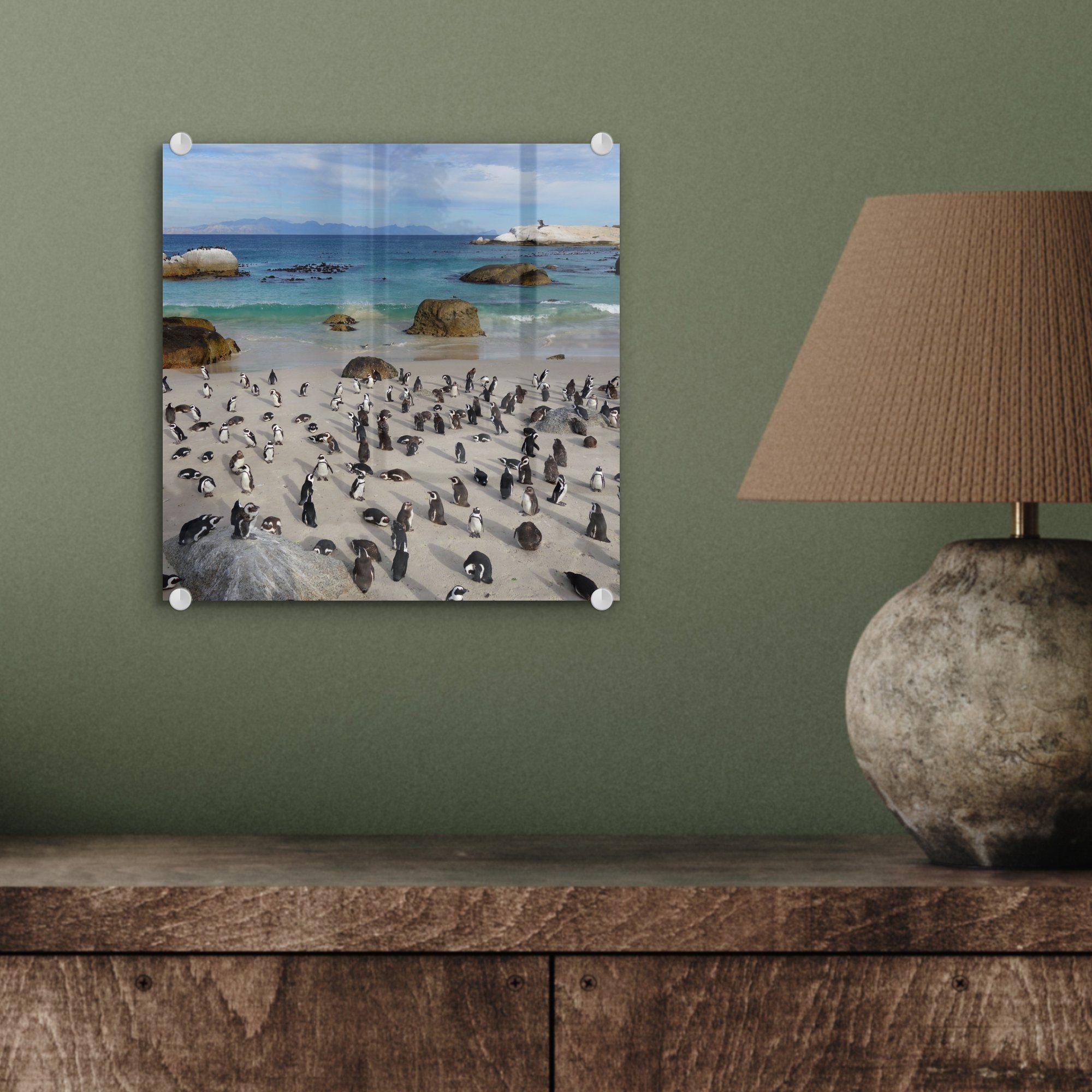 - (1 Foto Glas MuchoWow - Beach Kolonie Glas auf einer auf Acrylglasbild Boulders Pinguinen, Wanddekoration Bilder Wandbild Glasbilder St), - mit von