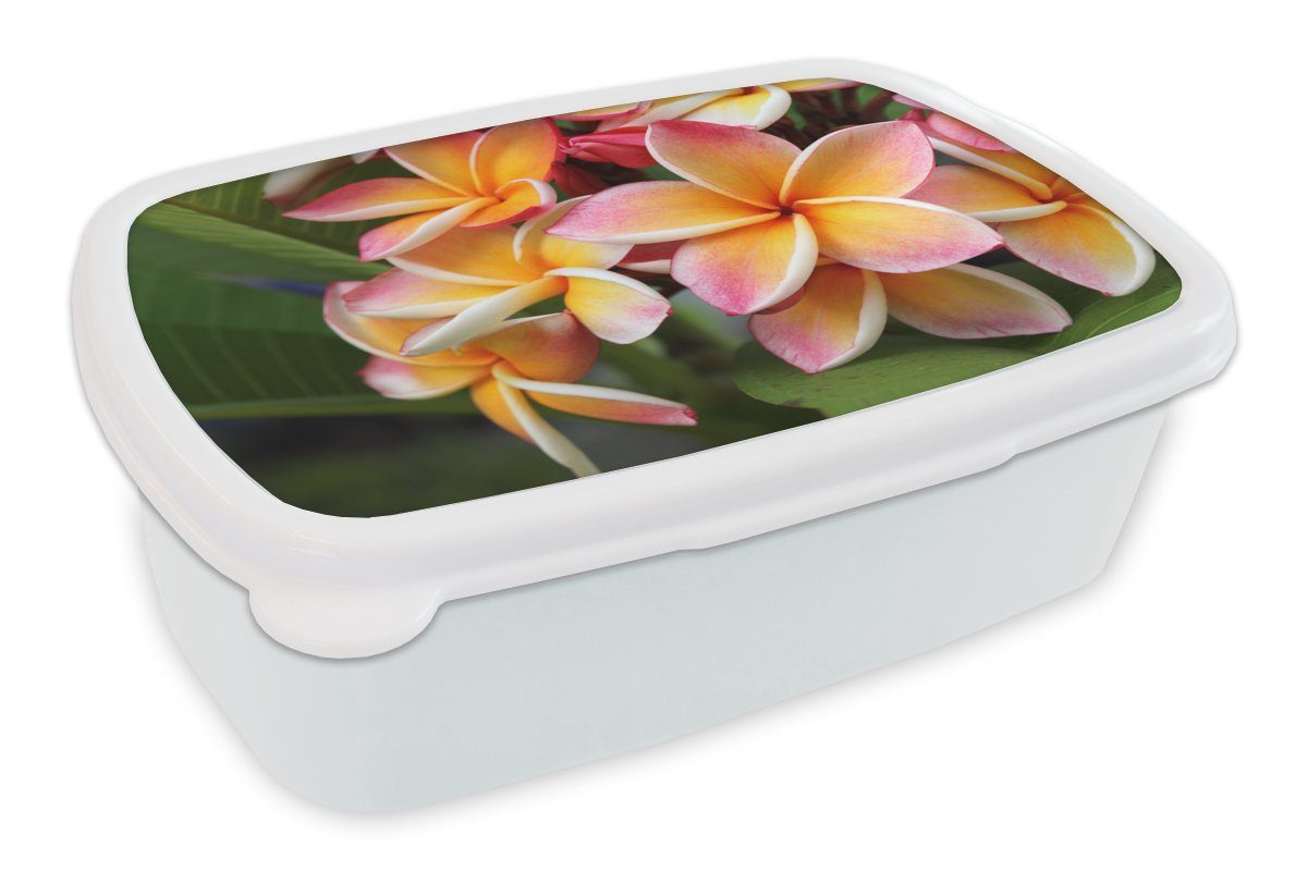 MuchoWow Lunchbox Blumen - Plumeria - Orange, Kunststoff, (2-tlg), Brotbox für Kinder und Erwachsene, Brotdose, für Jungs und Mädchen weiß