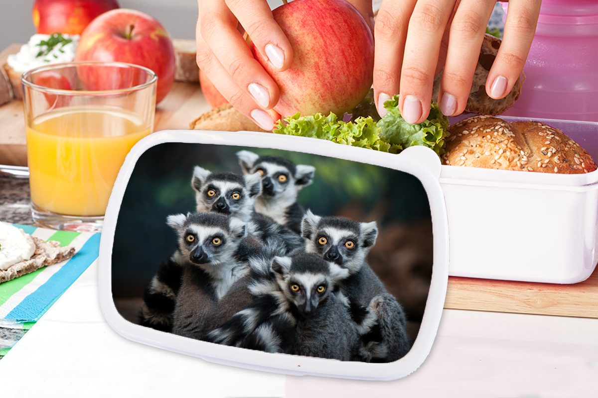 Erwachsene, Mädchen - und Lunchbox für MuchoWow Kunststoff, für Jungs Brotbox Ringelschwanzlemuren, Brotdose, - Affen (2-tlg), und Kinder Tiere weiß