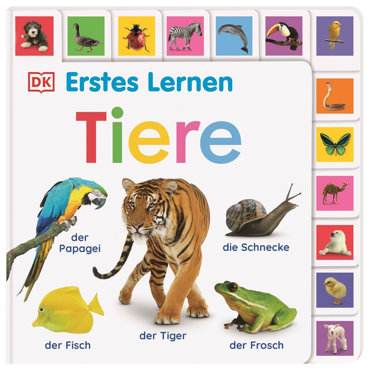 Erstes Lernen. Tiere / DK Erstes Lernen, Pappbilderbuch mit Griff-Register und über 180 Fotos ab 1 Jahr