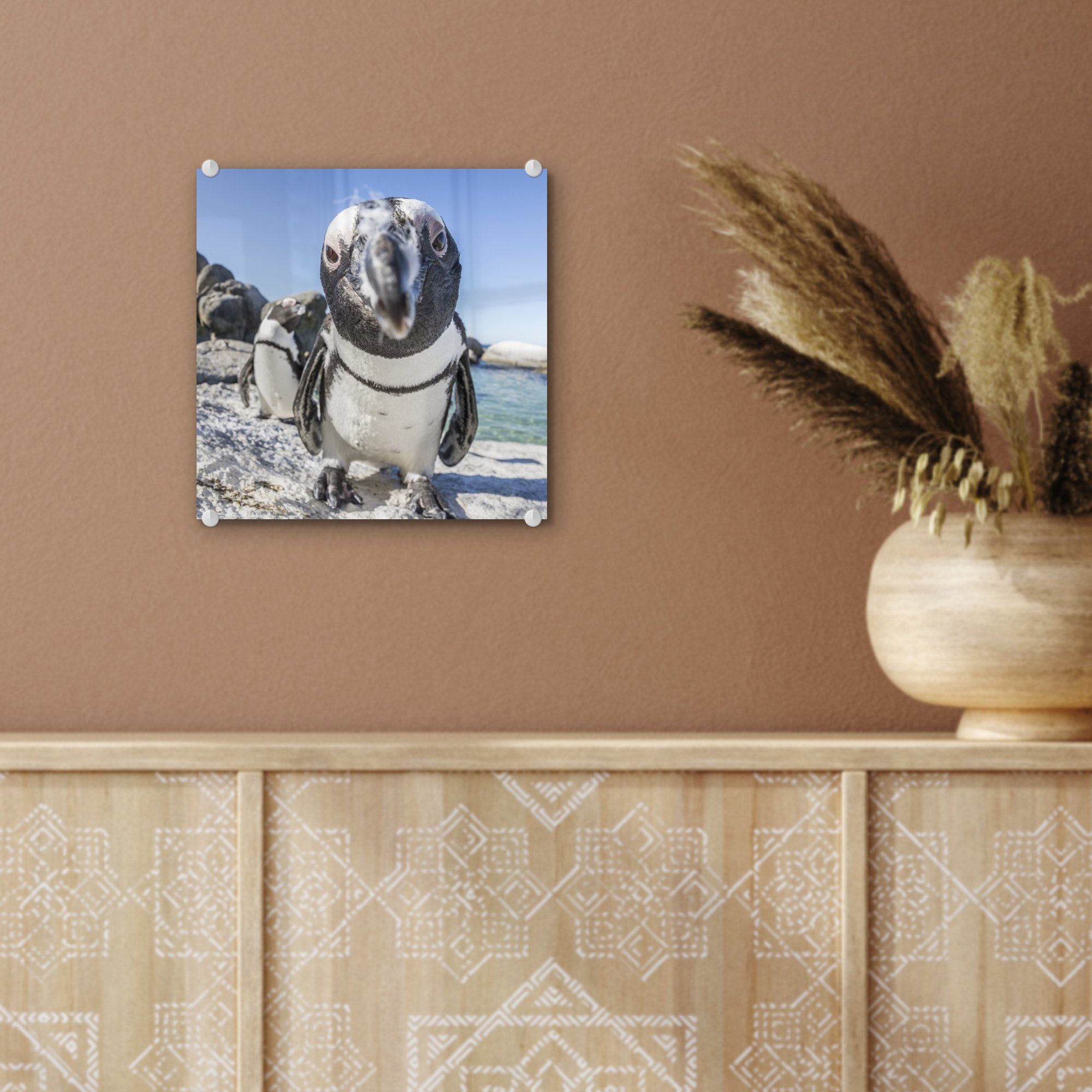 - Bilder Glas Glas eines Foto Boulders Beach, auf MuchoWow Glasbilder Wanddekoration - am (1 Acrylglasbild - Pinguins Wandbild auf afrikanischen Nahaufnahme St),