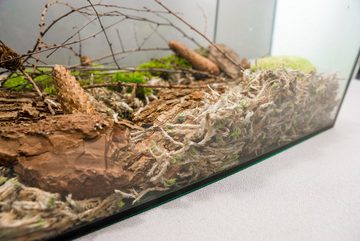 Moos-Design Einstreu Terrarium Bodengrund Einstreu (125g) (1-tlg)