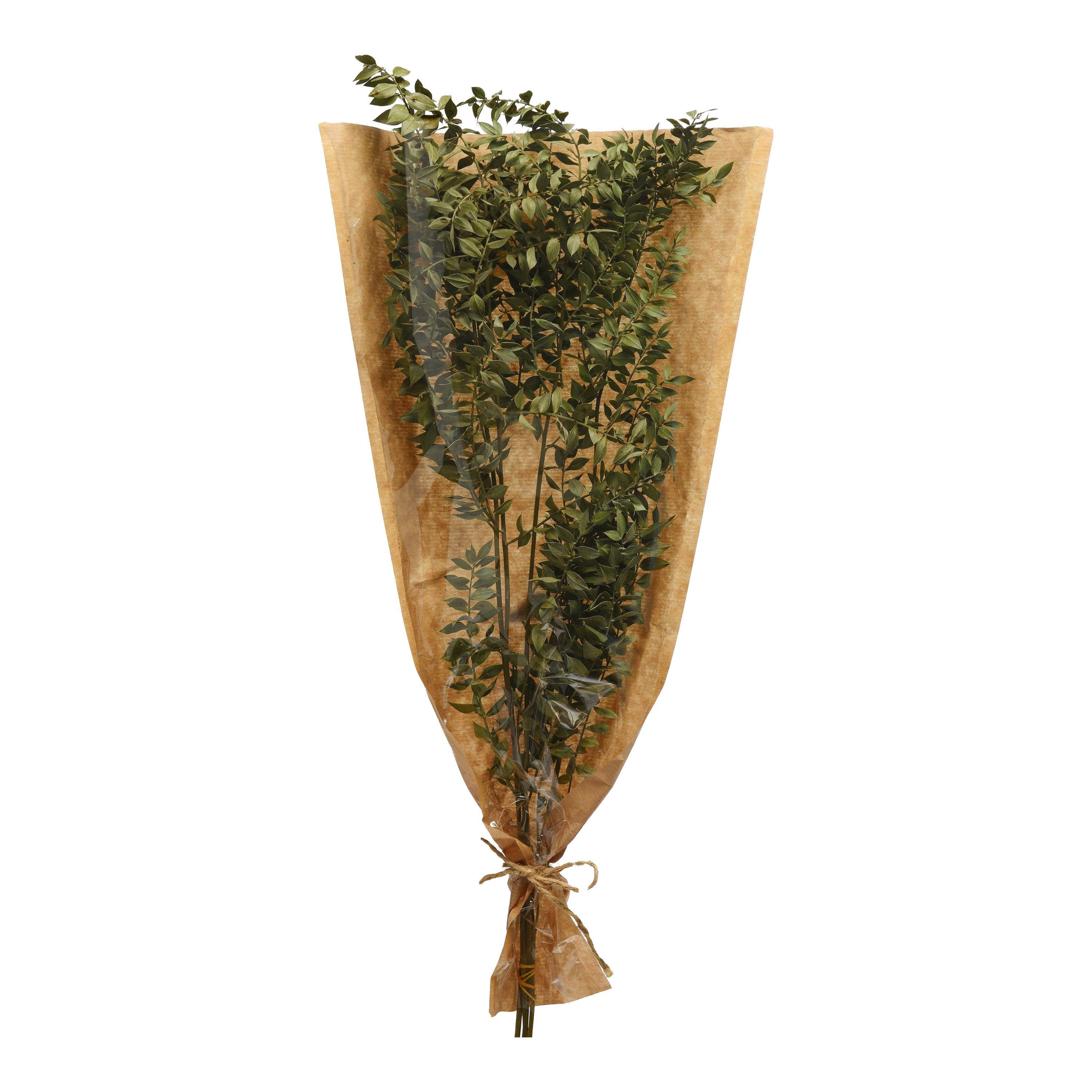 L Trockenblume Ruscus, Depot, Trockenblume, aus Zentimeter 50 Trockenblumenbund