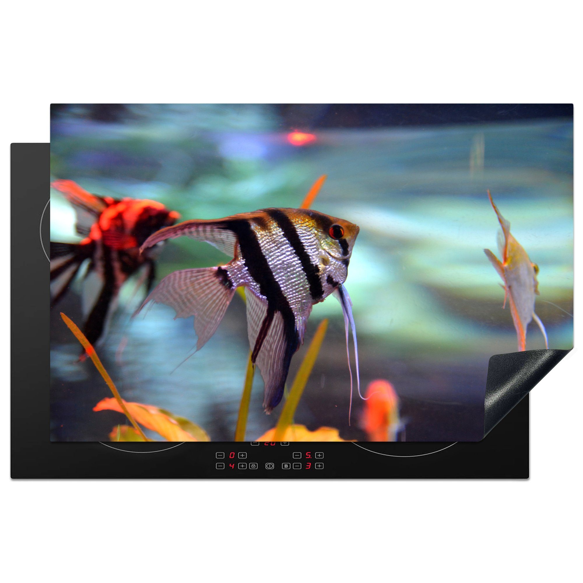 MuchoWow Herdblende-/Abdeckplatte Aquarium - Fische Vinyl, Schutz Induktionskochfeld - (1 für tlg), cm, küche, Ceranfeldabdeckung 81x52 Mondfisch, die