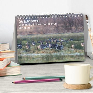 CALVENDO Wandkalender Graugänse (Tischkalender 2025 DIN A5 quer), CALVENDO Monatskalender