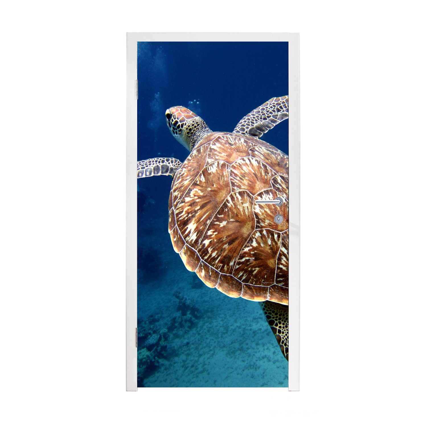 MuchoWow Türtapete Schildkröte Fotodruck, Matt, bedruckt, (1 St), Fototapete für Tür, Türaufkleber, 75x205 cm