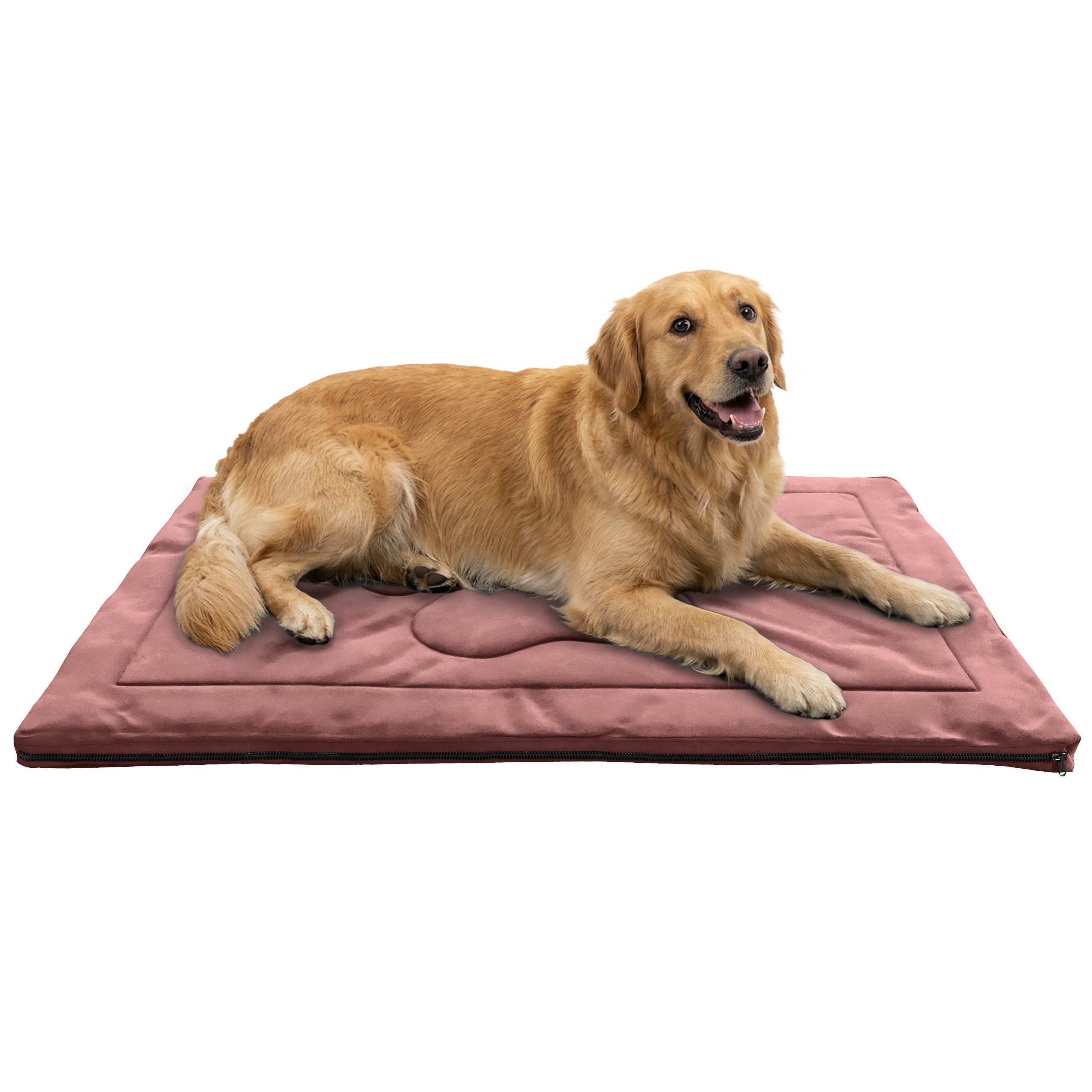 Muralo Tierbett - Hundematte - Hundebett - Hundekissen, mittelgroßes, waschbar, weiche Polsterung, 100x70 cm