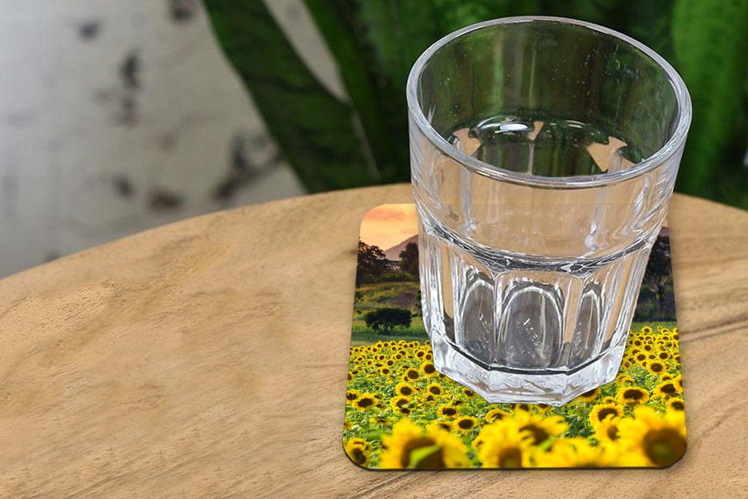 MuchoWow Glasuntersetzer Sonnenblume - Natur Zubehör Glasuntersetzer, für 6-tlg., Tischuntersetzer, Korkuntersetzer, Untersetzer, Berg, Gläser, - Tasse