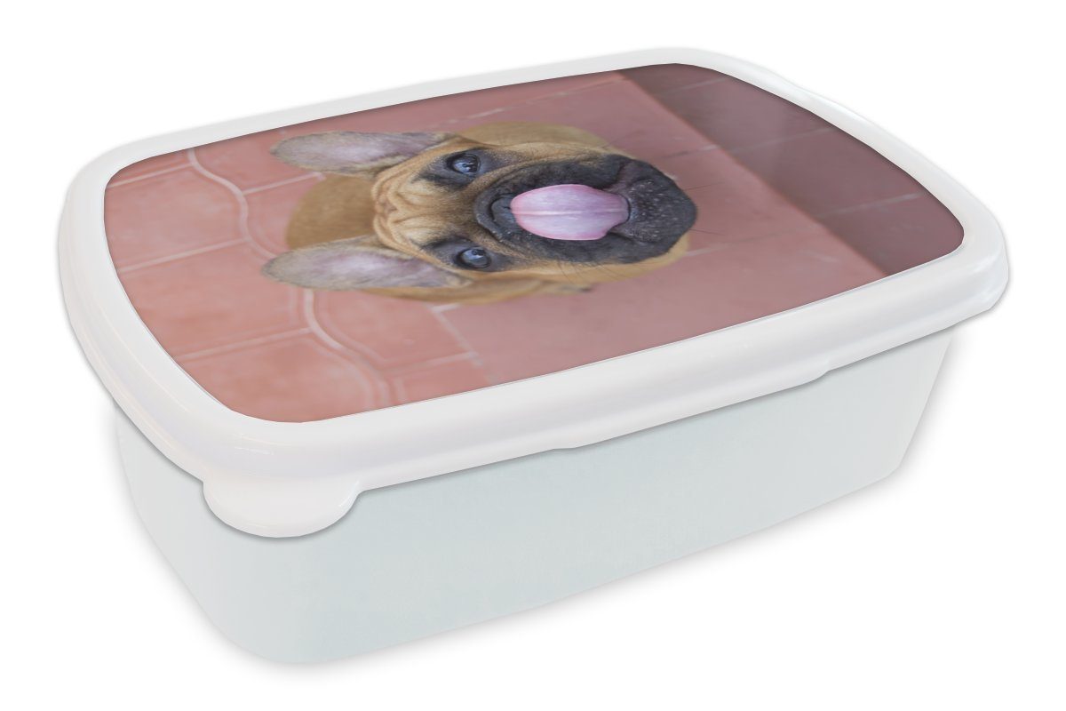 MuchoWow Lunchbox Ein Welpe einer Französischen Bulldogge, Kunststoff, (2-tlg), Brotbox für Kinder und Erwachsene, Brotdose, für Jungs und Mädchen weiß