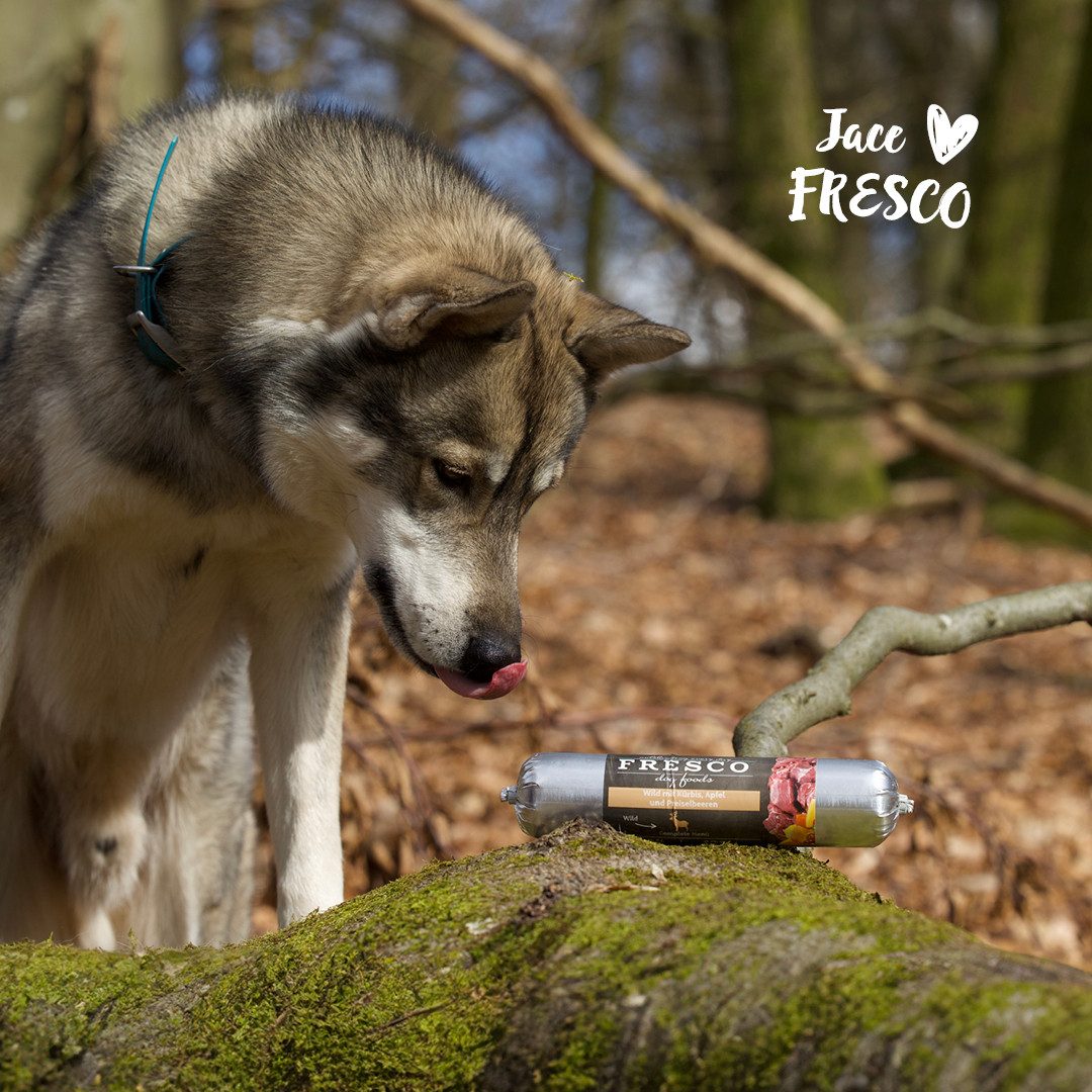 Fresco Dog Hundewurst schnittfest Wild mit Kürbis & Apfel I 2 x 400g, Nassfutter für: Hunde, 88% Frischfleisch, getreidefrei & vitaminreich