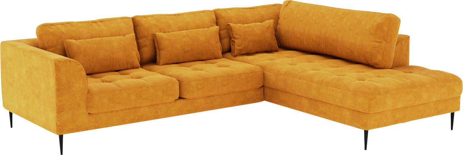 TRENDMANUFAKTUR Ecksofa Luzi, wahlweise mit Schlaffunktion und Bettkasten, gemütlich, L-Form, Designsofa mit Ottomane, Metallfüße schwarz, Breite 264 cm