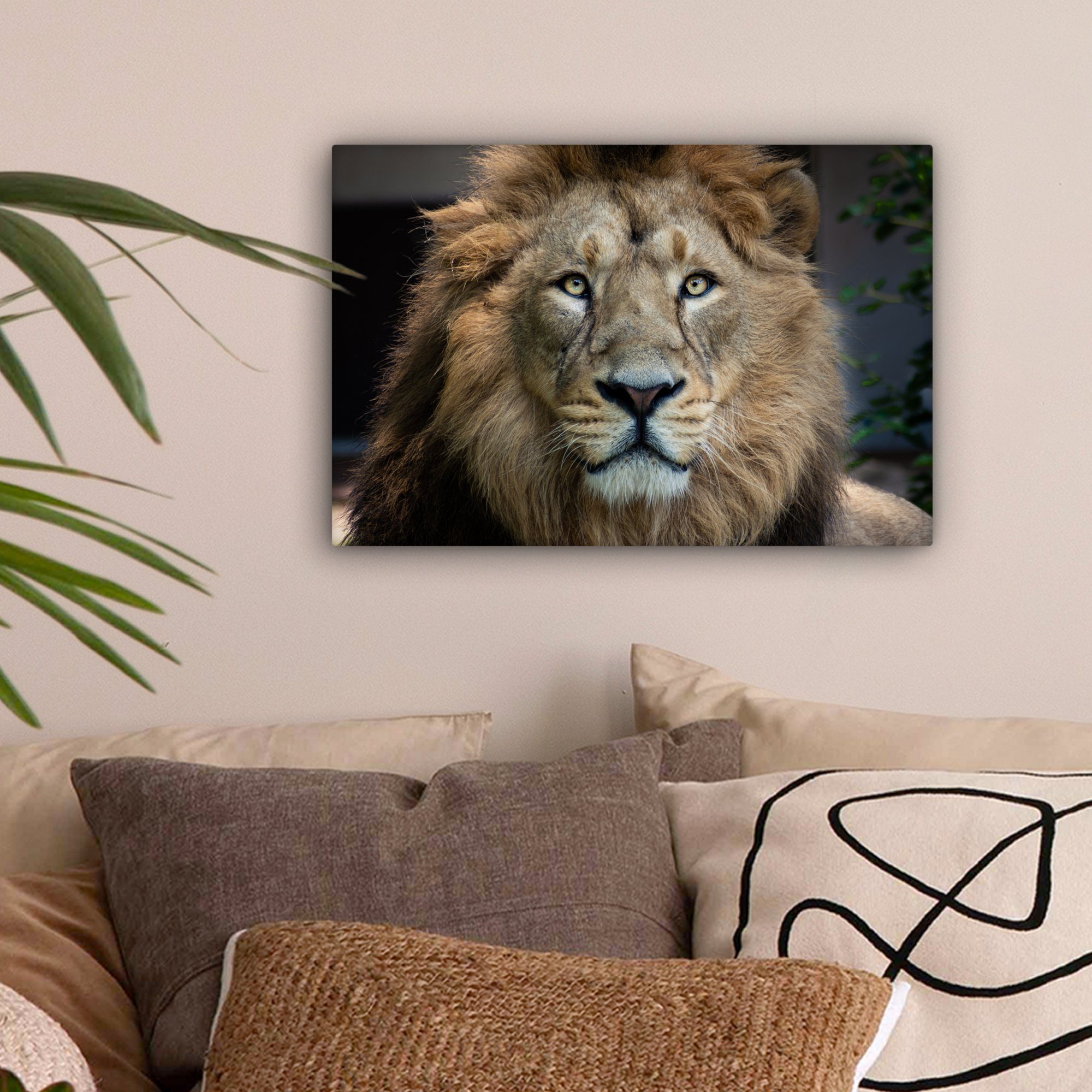OneMillionCanvasses® Leinwandbild Löwen - Farbe - günstig online kaufen