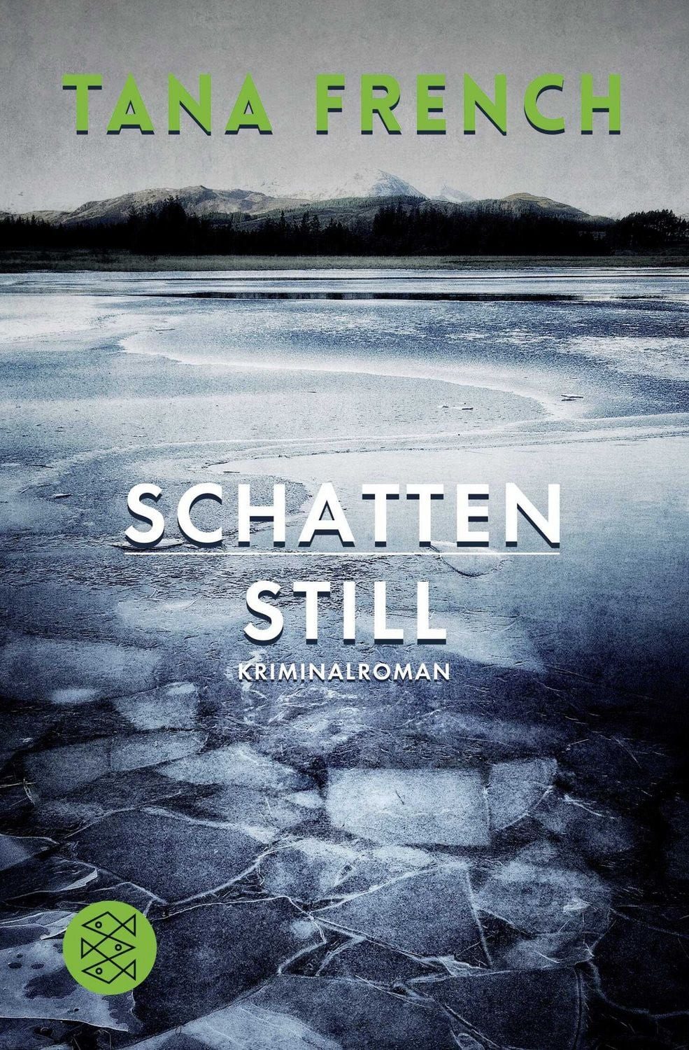 Schattenstill / Tana French