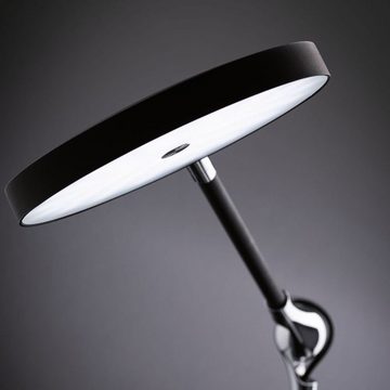 Paulmann LED Tischleuchte LED Tischleuchte 11W 1100lm dimmbar in Schwarz, keine Angabe, Leuchtmittel enthalten: Ja, fest verbaut, LED, warmweiss, Tischleuchte, Nachttischlampe, Tischlampe