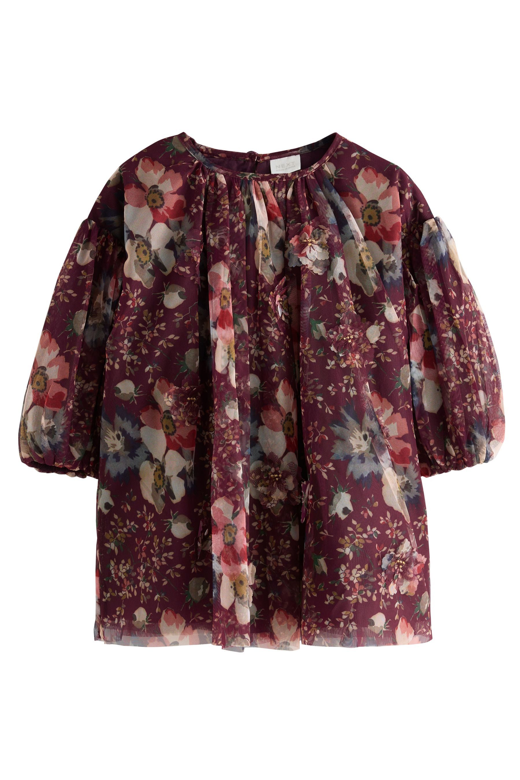 Next Tüllkleid Langärmeliges Kleid aus Netzstoff (1-tlg)