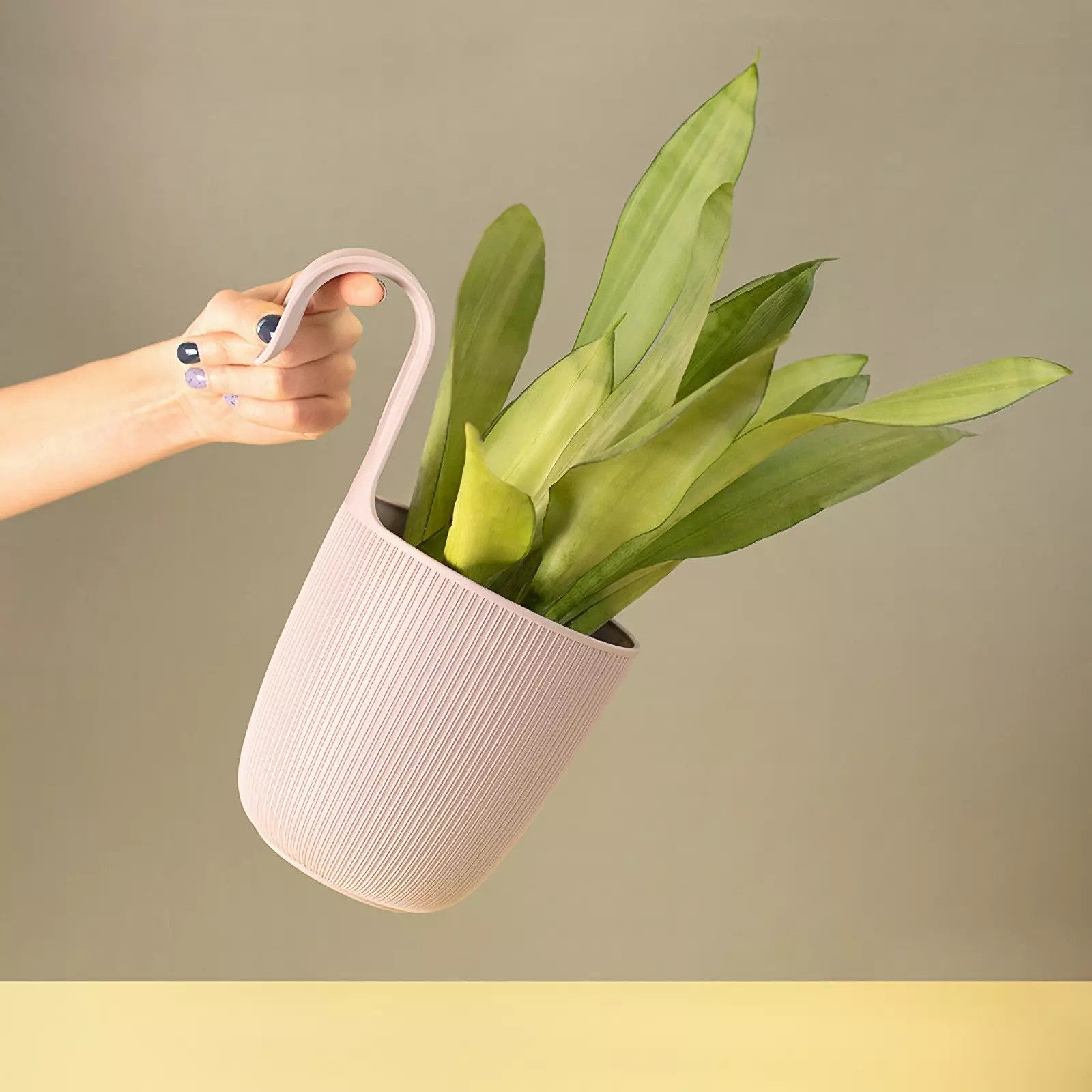 Engelland Blumentopf Blumentopf zum Hängen (Vorteils-Set, günstig online kaufen