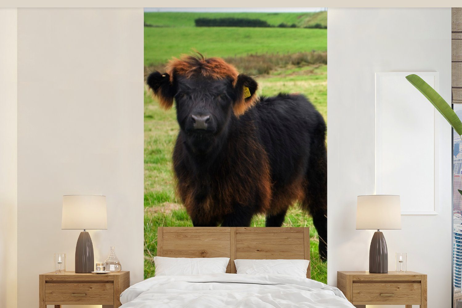 MuchoWow Fototapete Schottische Highlander - Gras - Kühe, Matt, bedruckt, (2 St), Vliestapete für Wohnzimmer Schlafzimmer Küche, Fototapete
