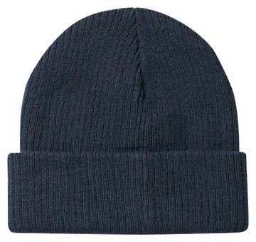 Dickies Beanie Evadale