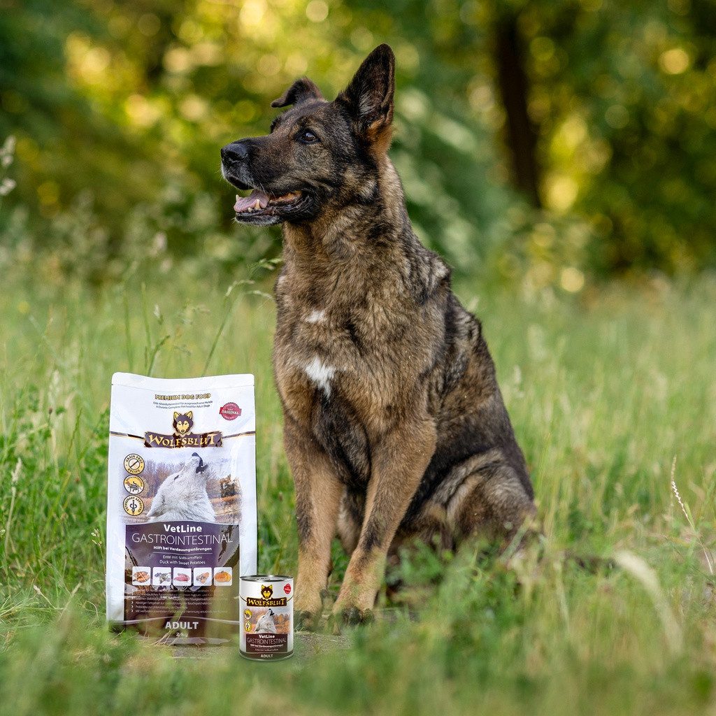 Wolfsblut Vetline Gastrointestinal - Trockenfutter bei Magen-Darm Erkrankungen, Trockenfutter für: Hunde