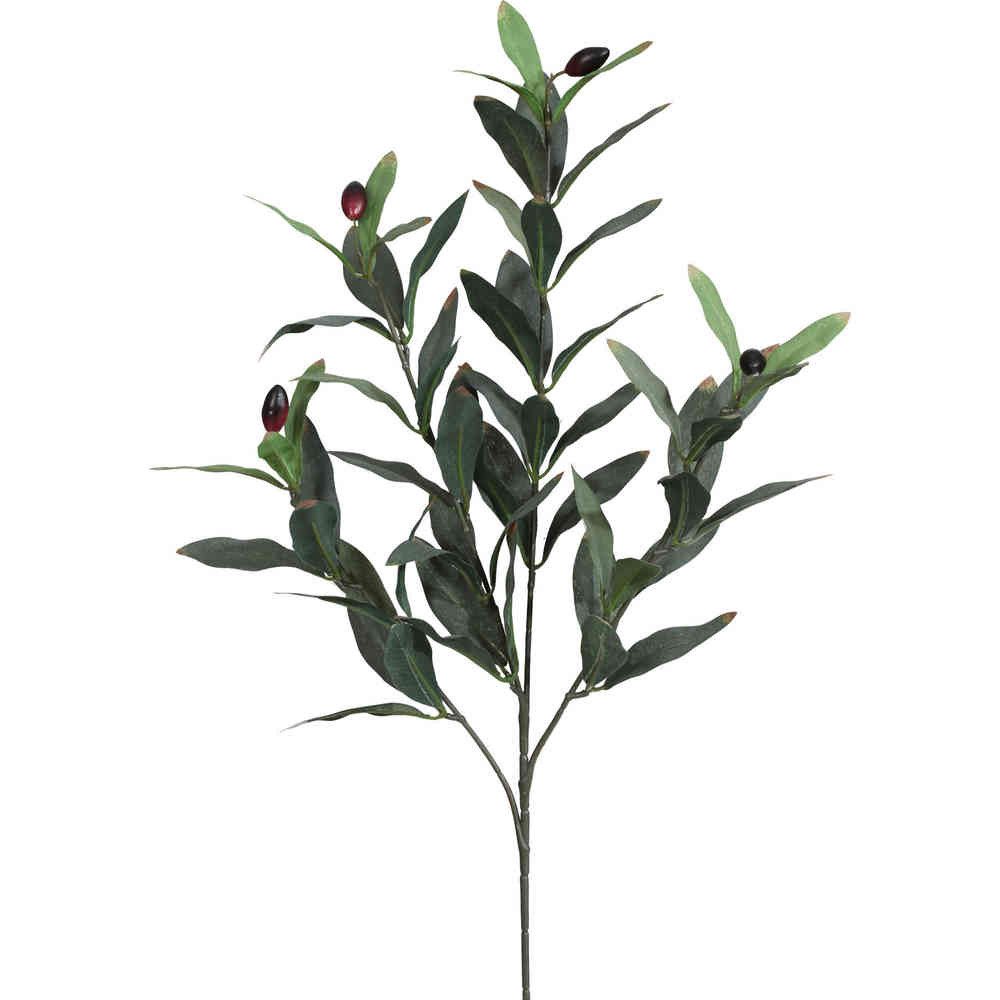 Kunstzweig Künstlicher Olivenzweig 50cm. Olivenast Olivenbaum Zweig mit 4 T günstig online kaufen