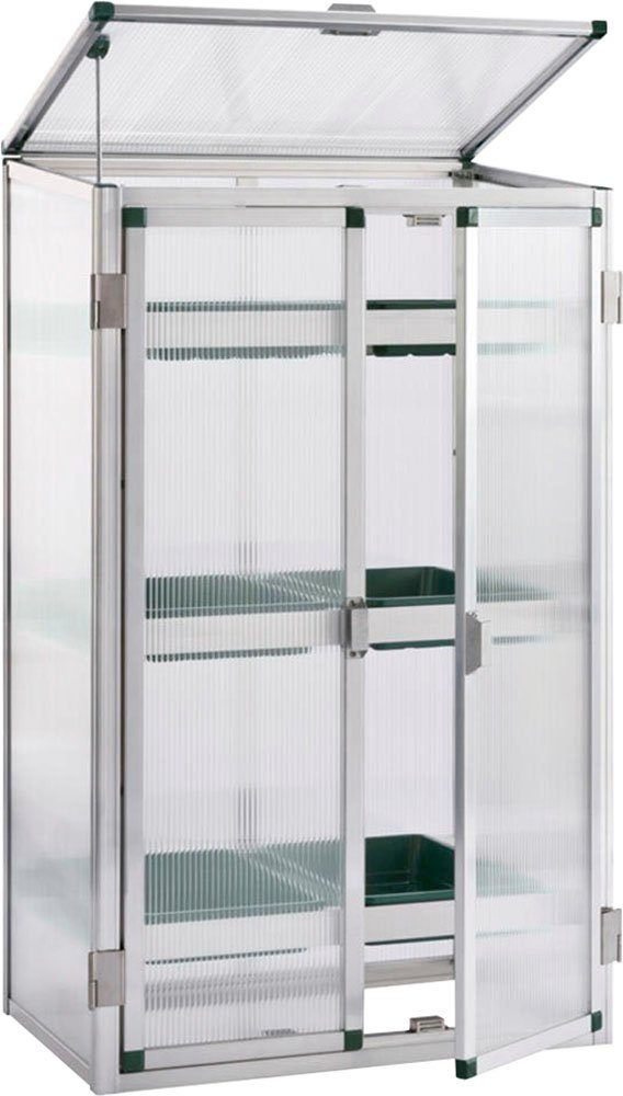 Beckmann Gewächshaus Aussaat- und Anzuc...