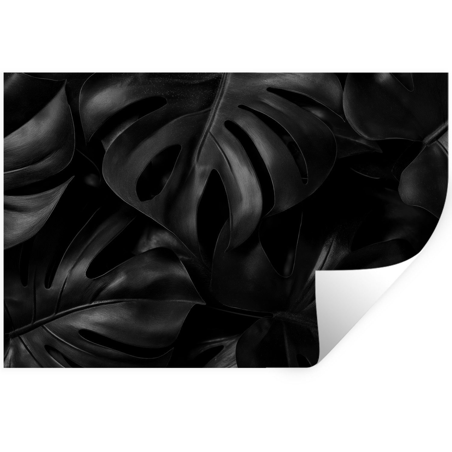 MuchoWow Wandsticker Schwarz - Monstera - Blätter (1 St), Wandtattoo, Selbstklebend, Wohnzimmer, 30x20 cm