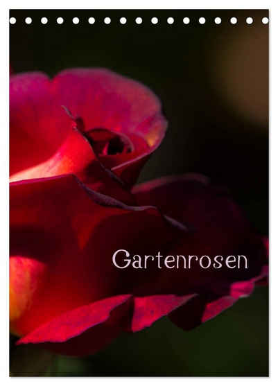 CALVENDO Wandkalender Gartenrosen (Tischkalender 2024 DIN A5 hoch), CALVENDO Monatskalender
