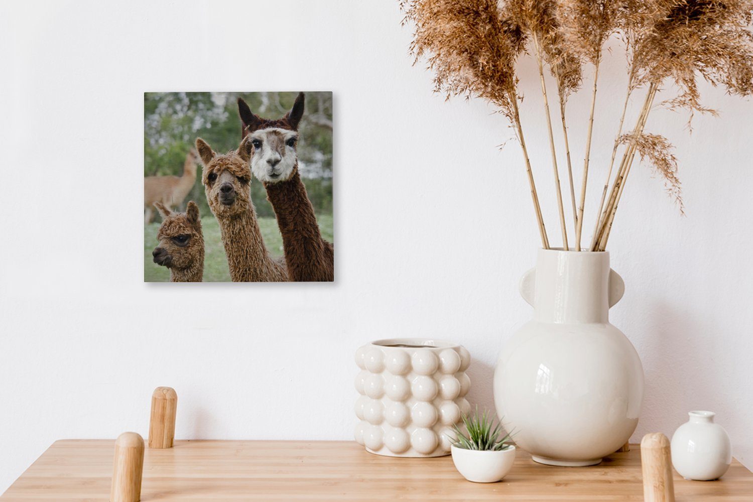 OneMillionCanvasses® Leinwandbild Alpaka - Schlafzimmer Braun, für St), - Wohnzimmer Tier Bilder Leinwand (1