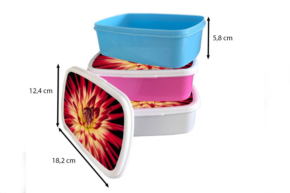 MuchoWow Lunchbox Blumen - Natur Erwachsene, für weiß und Brotbox (2-tlg), und Mädchen Kunststoff, für Makro, Kinder Jungs - Brotdose