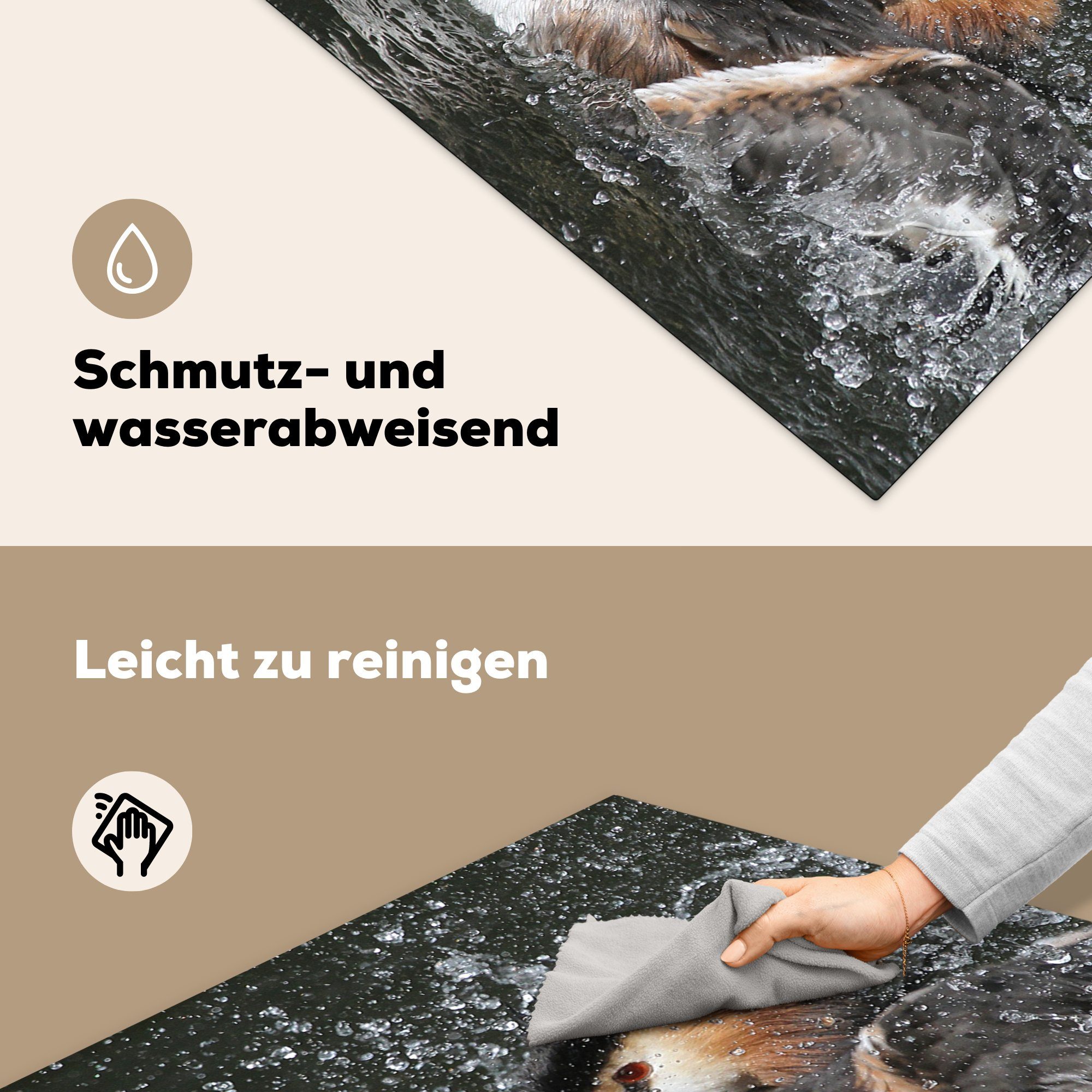 MuchoWow Herdblende-/Abdeckplatte Haubentaucher - Wasser 78x78 cm, Arbeitsplatte für - Vinyl, (1 tlg), Ceranfeldabdeckung, Vogel, küche