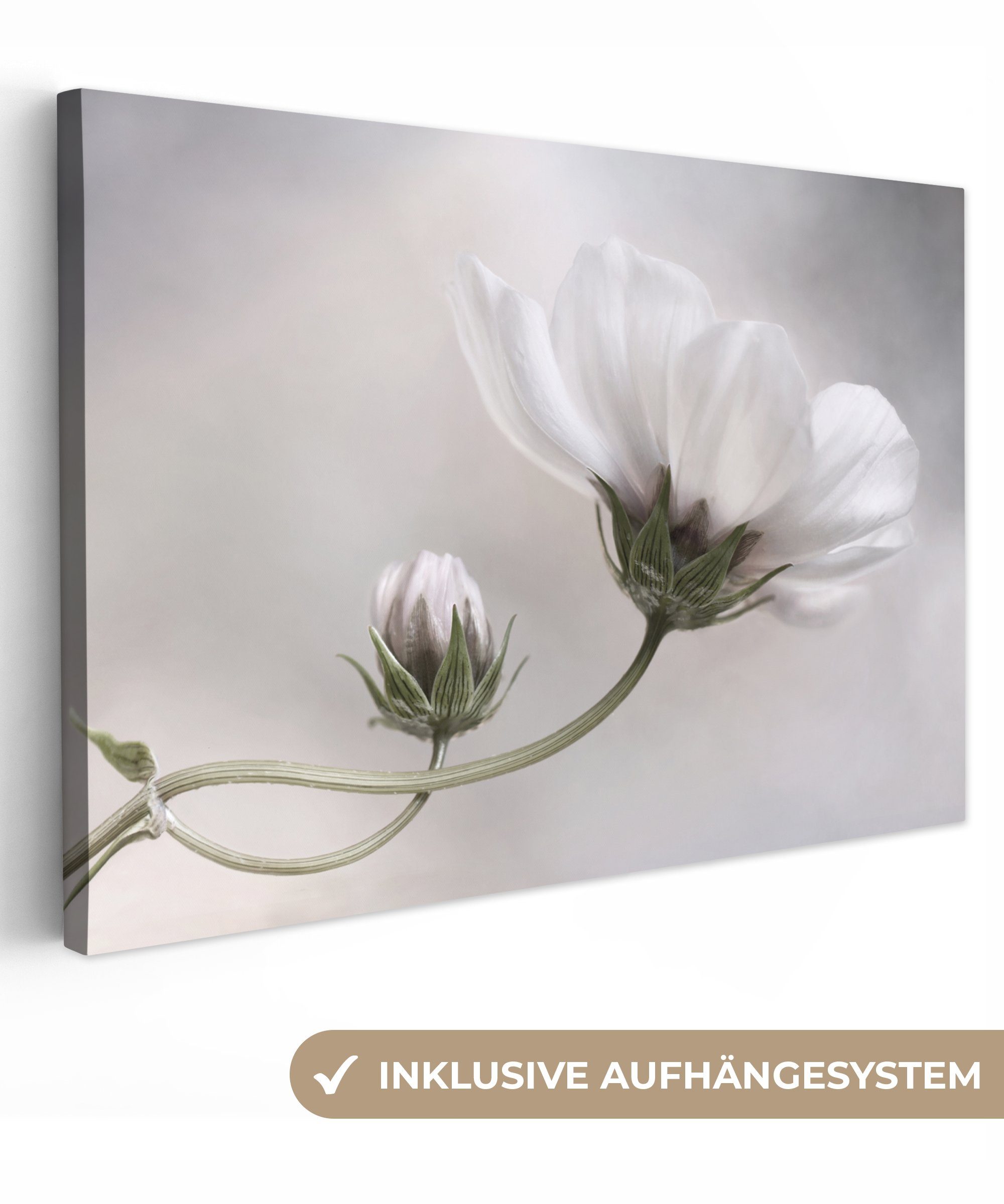 OneMillionCanvasses® Leinwandbild Blumen - Stillleben - Natur - Grau, (1 St), Wandbild Leinwandbilder, Aufhängefertig, Wanddeko, 30x20 cm