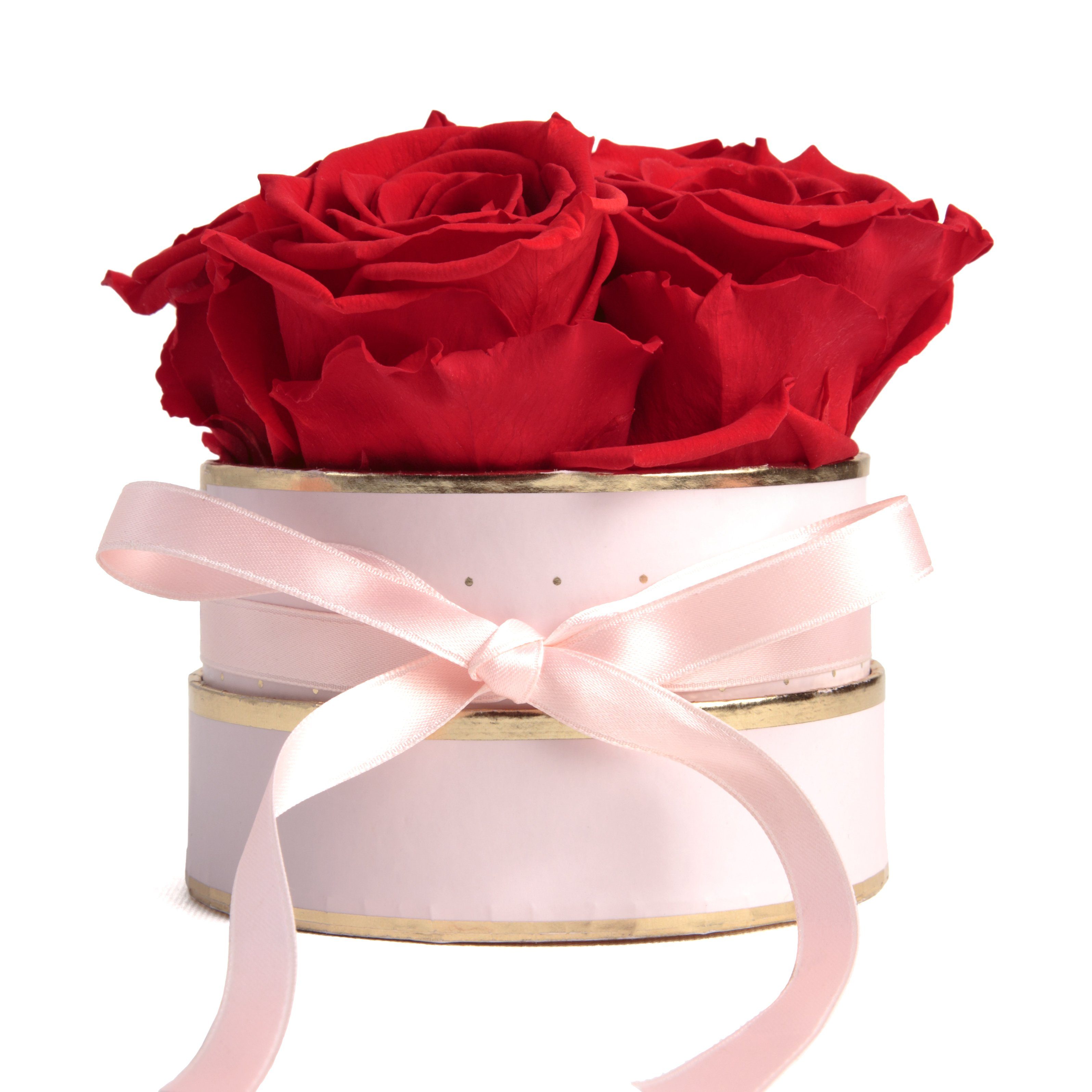 Kunstblume Infinity Rosenbox rosa rund 4 konservierte Rosen Geschenk für Frauen Rose, ROSEMARIE SCHULZ Heidelberg, Höhe 10 cm, echte konservierte Rosen Rot