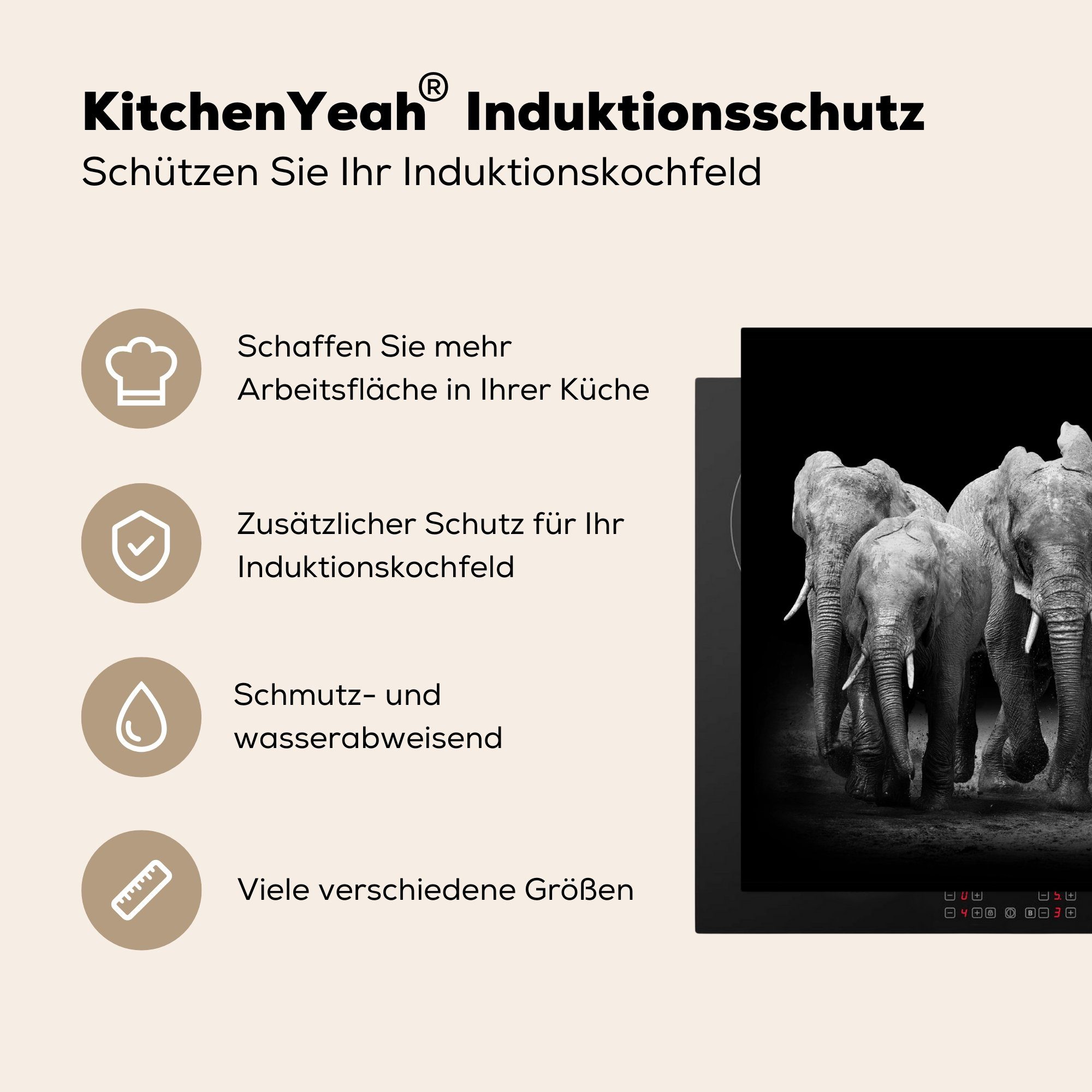 Schwarz 58x51 tlg), Herdblende-/Abdeckplatte MuchoWow für cm, Dekoration - Tiere, (1 Küchen Vinyl, Induktionsherd, Elefant - - Weiß Induktionskochfeld