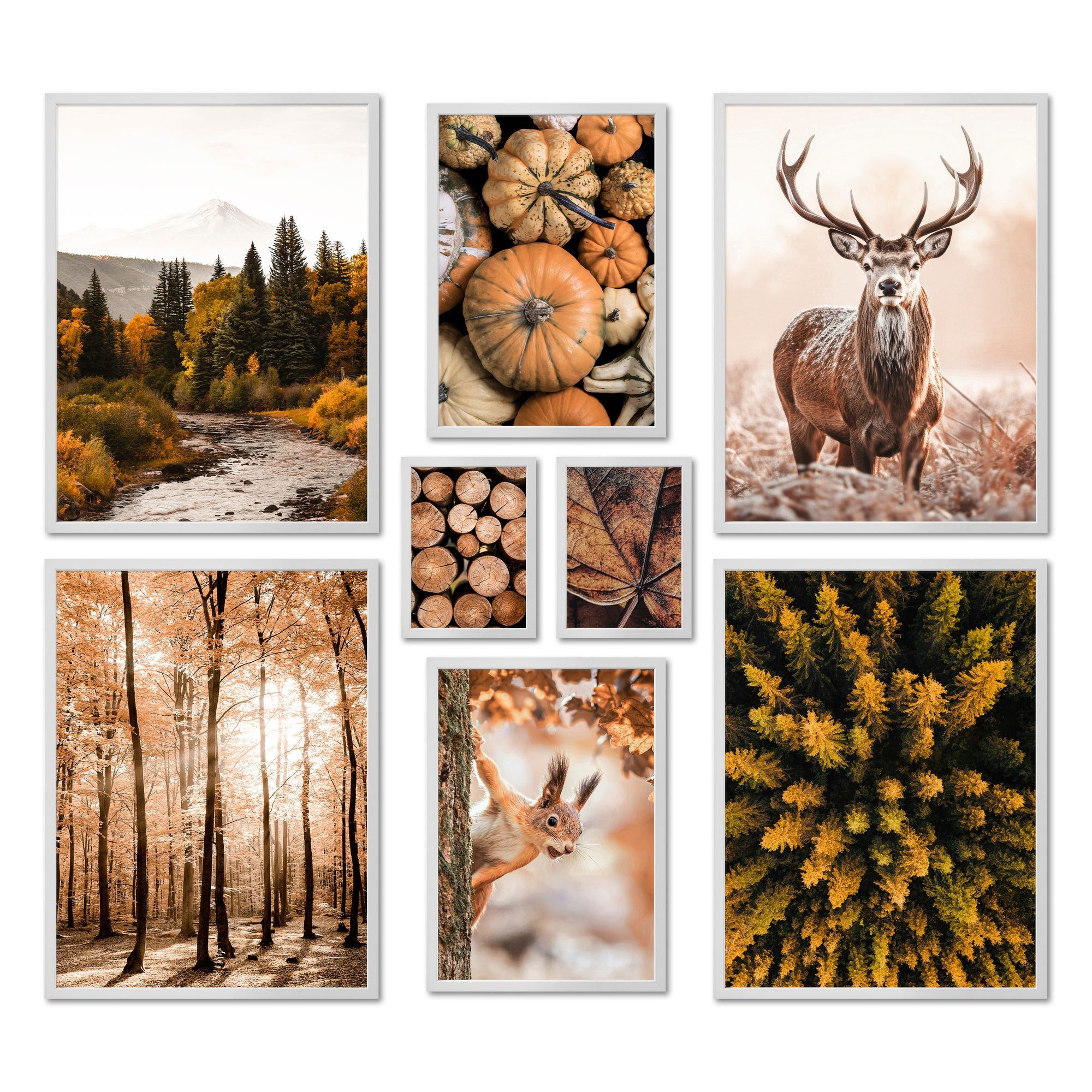 Bilder-Collage Poster Set - AUTUMN FOREST - Deko Wandbilder braun, grün, herbst, land