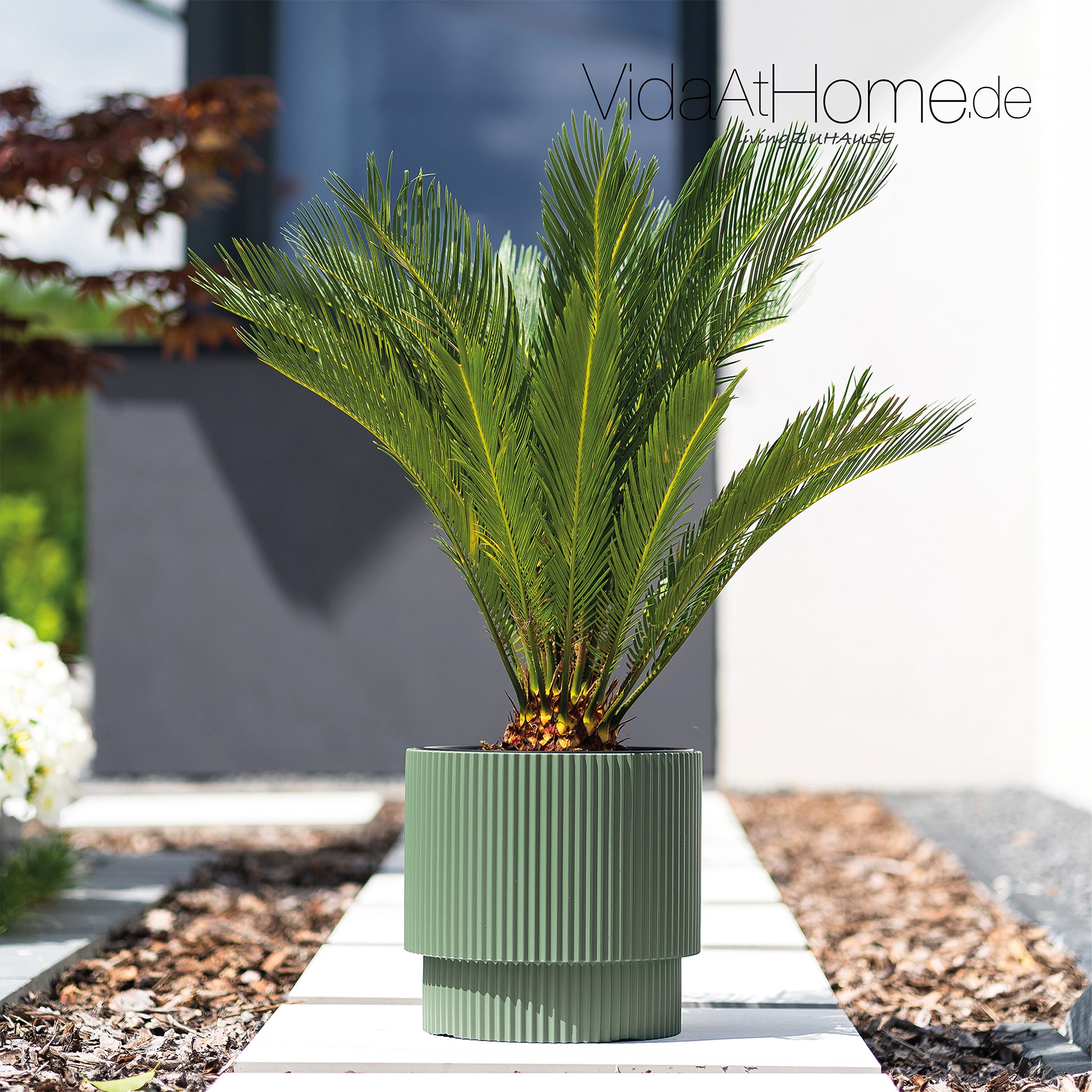 VidaAtHome.de Blumentopf Design-Pflanzgefäß IVY ø 40er, Modernes Rillendesi günstig online kaufen