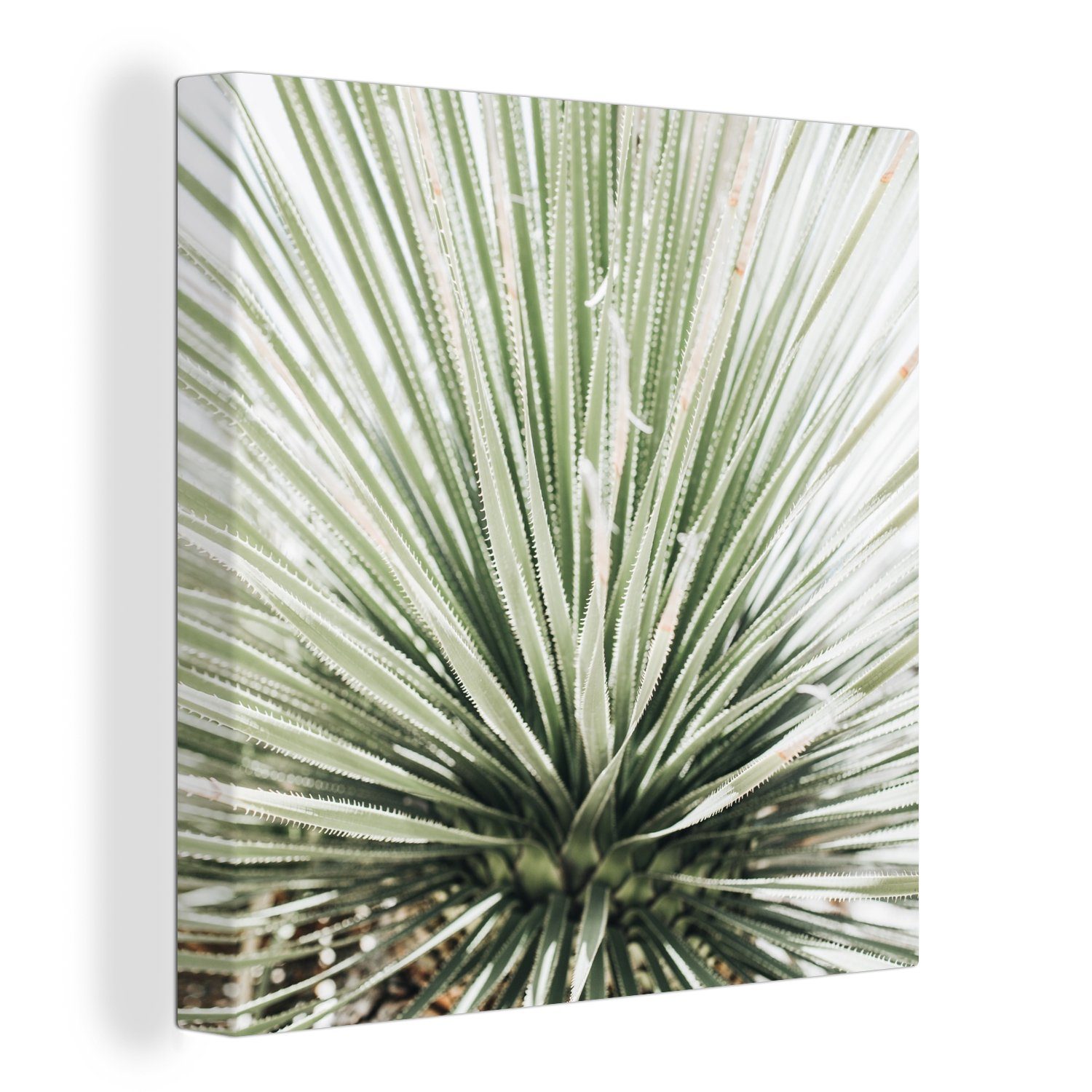 OneMillionCanvasses® Leinwandbild Grün - Blätter - Natur, (1 St), Leinwand  Bilder für Wohnzimmer Schlafzimmer | Poster