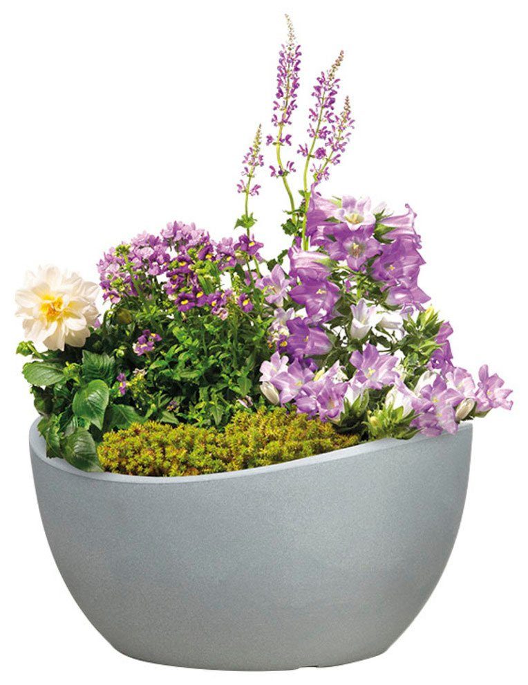 Scheurich Blumentopf 40/252 WAVE BOWL grau GLOBE