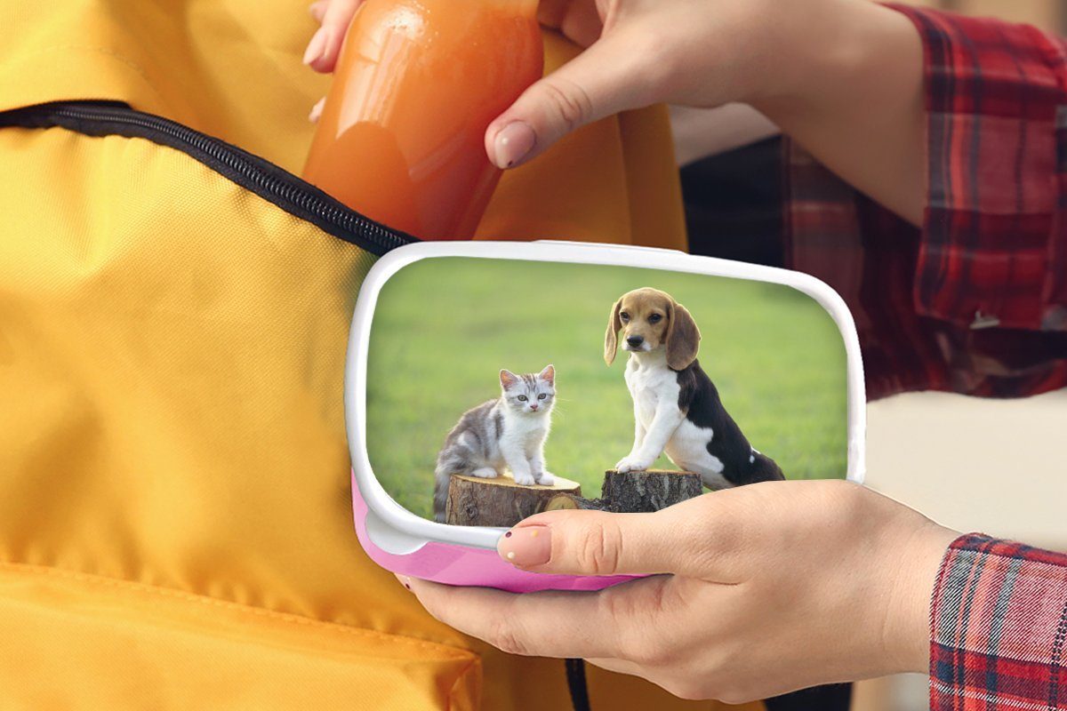 Lunchbox Katze Mädchen, - Brotdose Hund Kinder, für MuchoWow Snackbox, Kunststoff Brotbox Baum, rosa (2-tlg), - Erwachsene, Kunststoff,